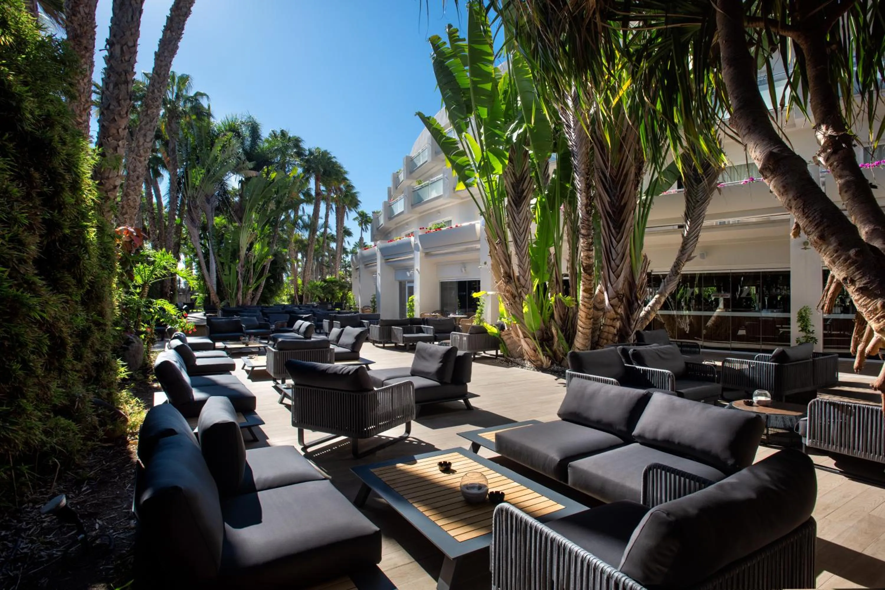 Lounge or bar in Tabaiba Princess