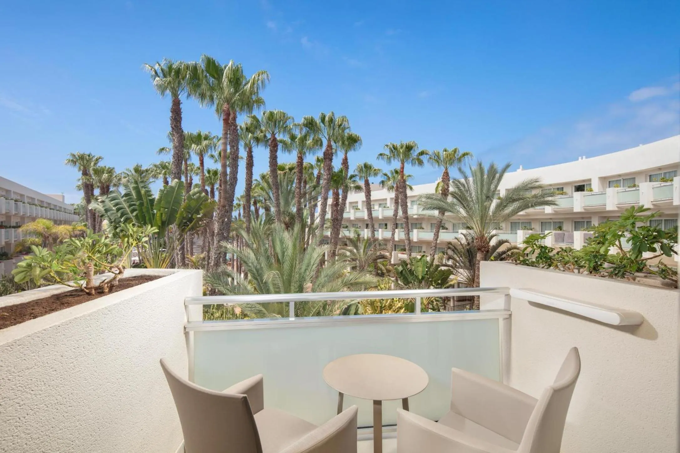 Photo of the whole room in Tabaiba Princess