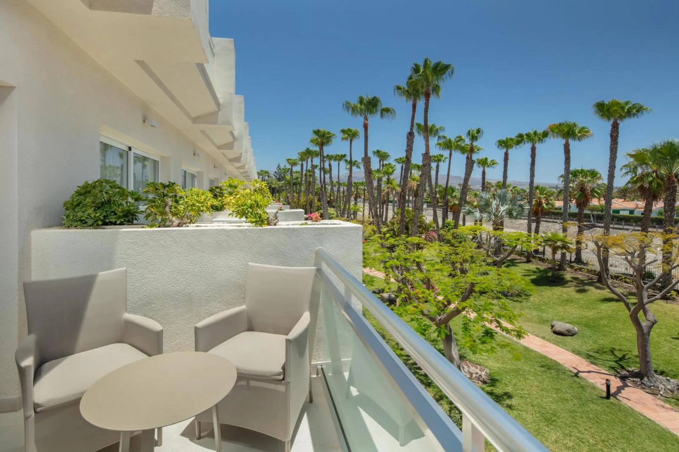 Photo of the whole room in Tabaiba Princess