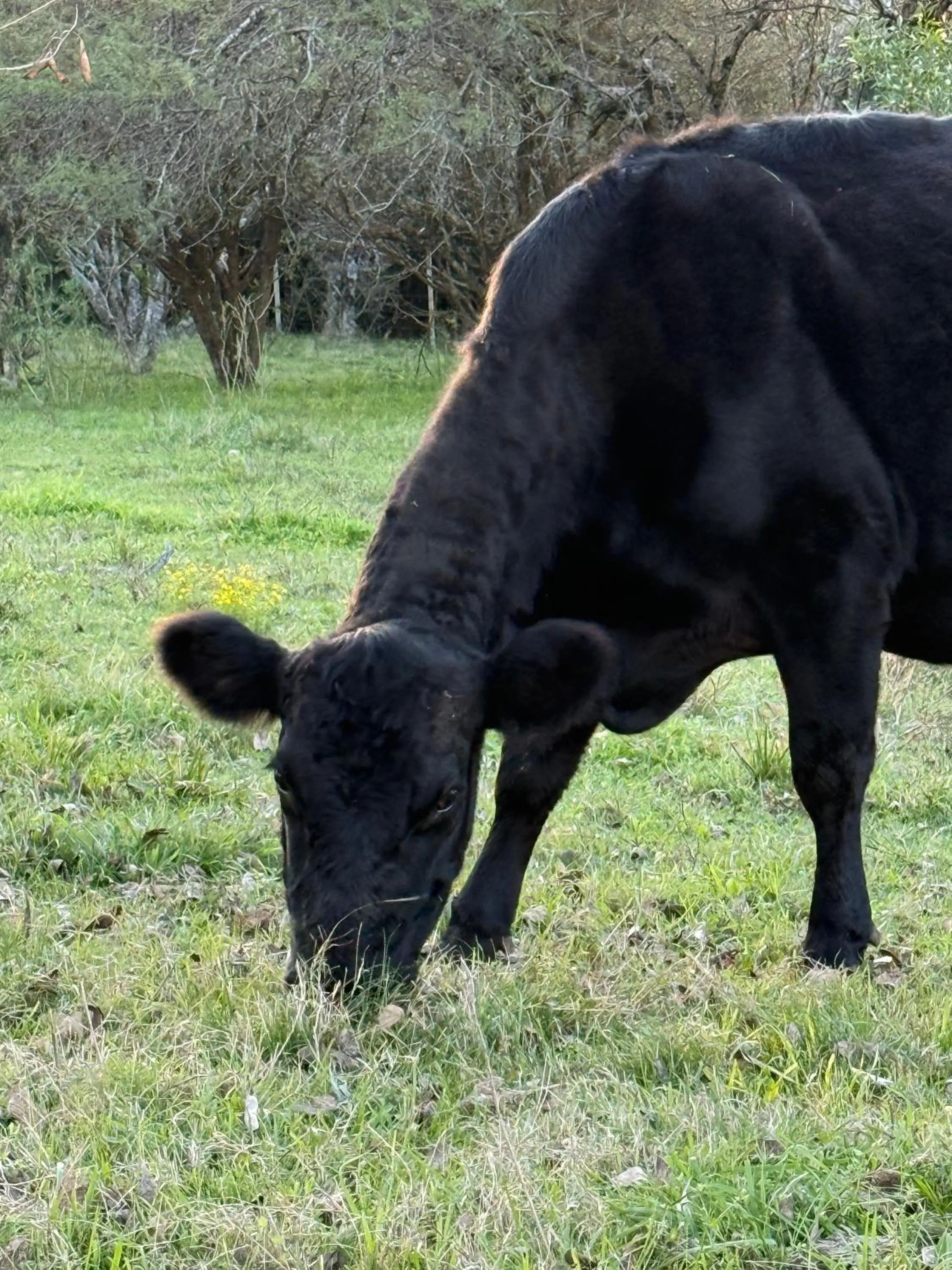 Los Muelles Boutique Hotel