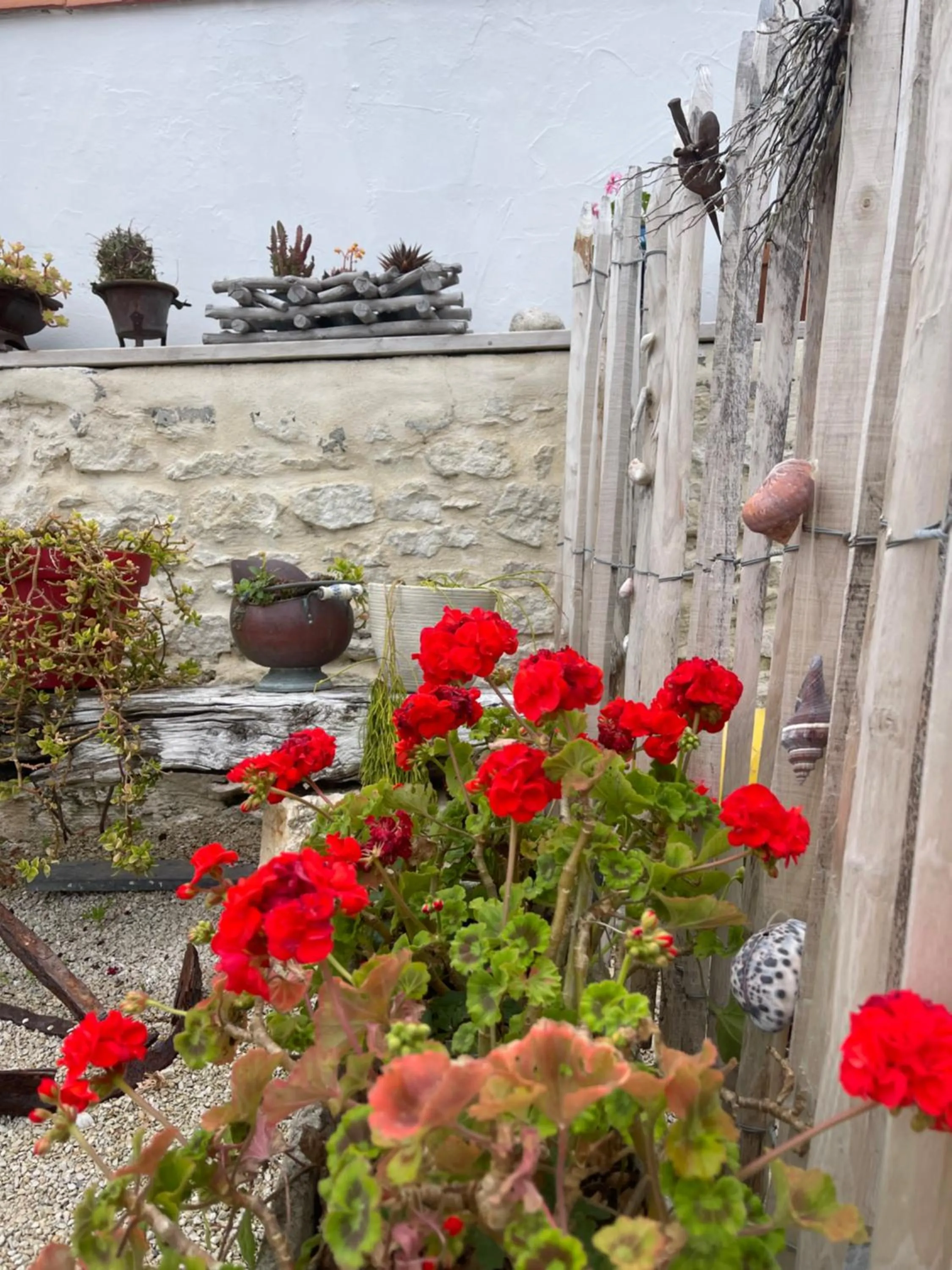 Property building in Clos des Aigrettes -6 Gîtes de charme et confort à 30m du Port de La Cotinière