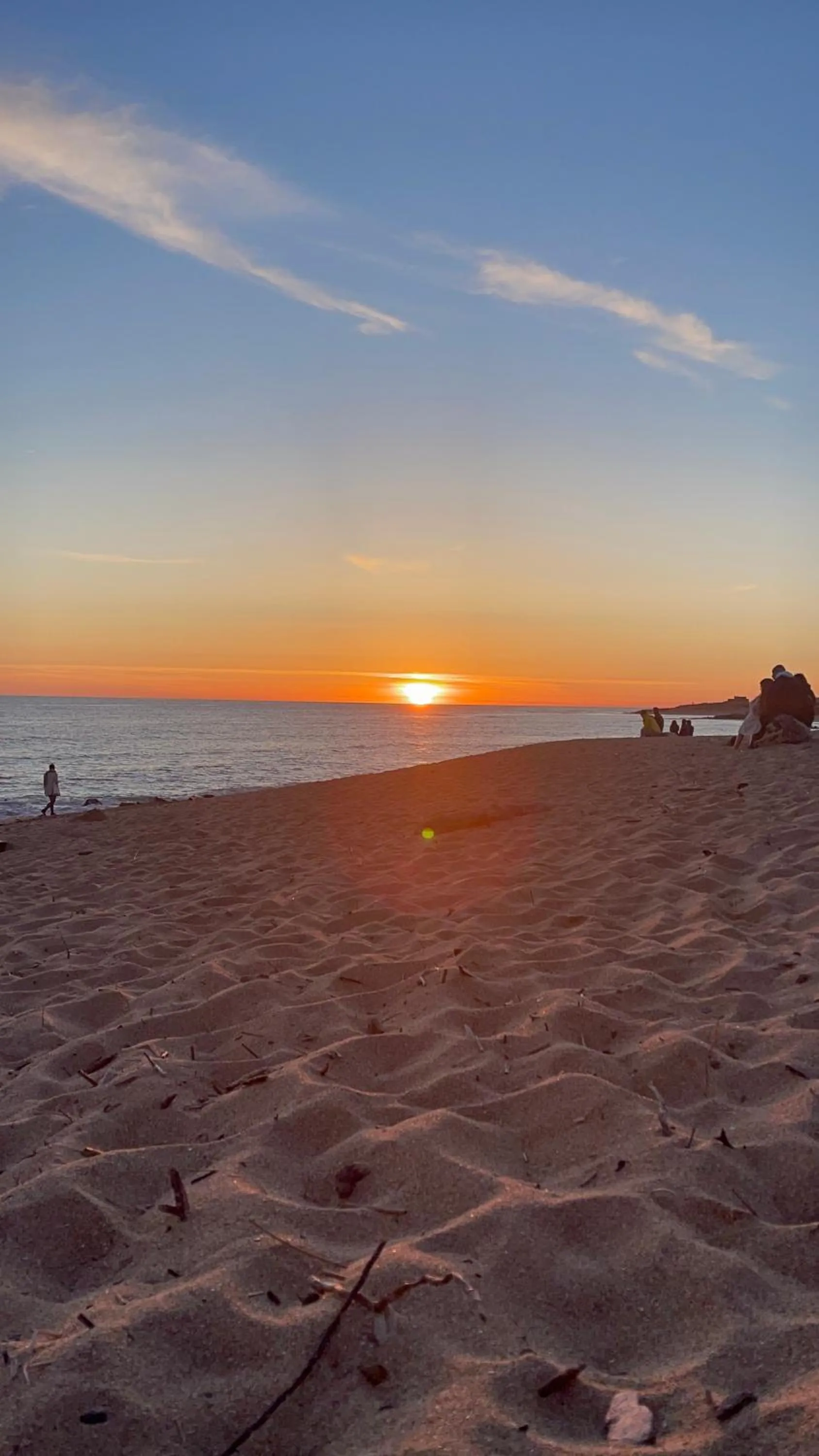 Nearby landmark in Clos des Aigrettes -6 Gîtes de charme et confort à 30m du Port de La Cotinière