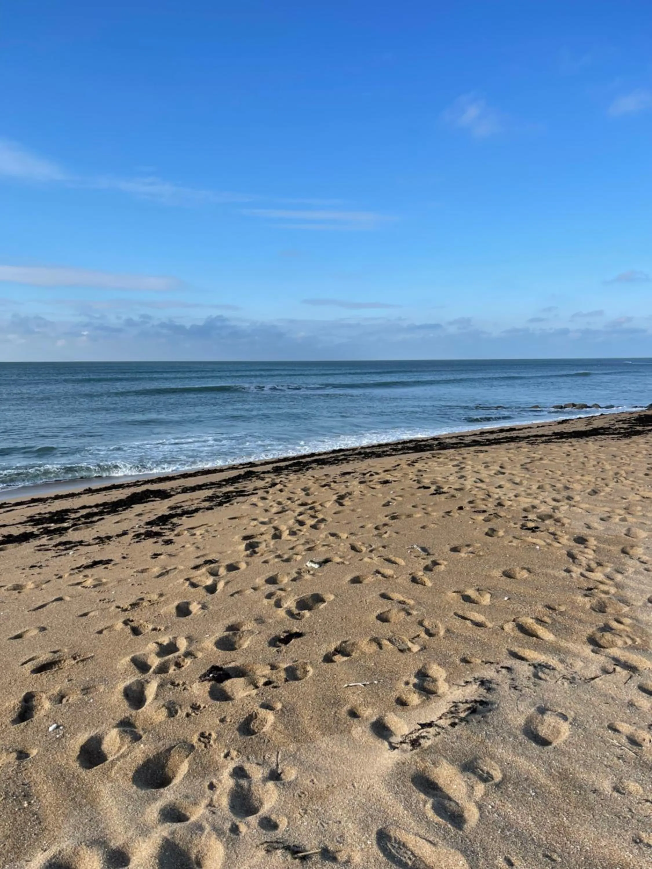 Nearby landmark in Clos des Aigrettes -6 Gîtes de charme et confort à 30m du Port de La Cotinière