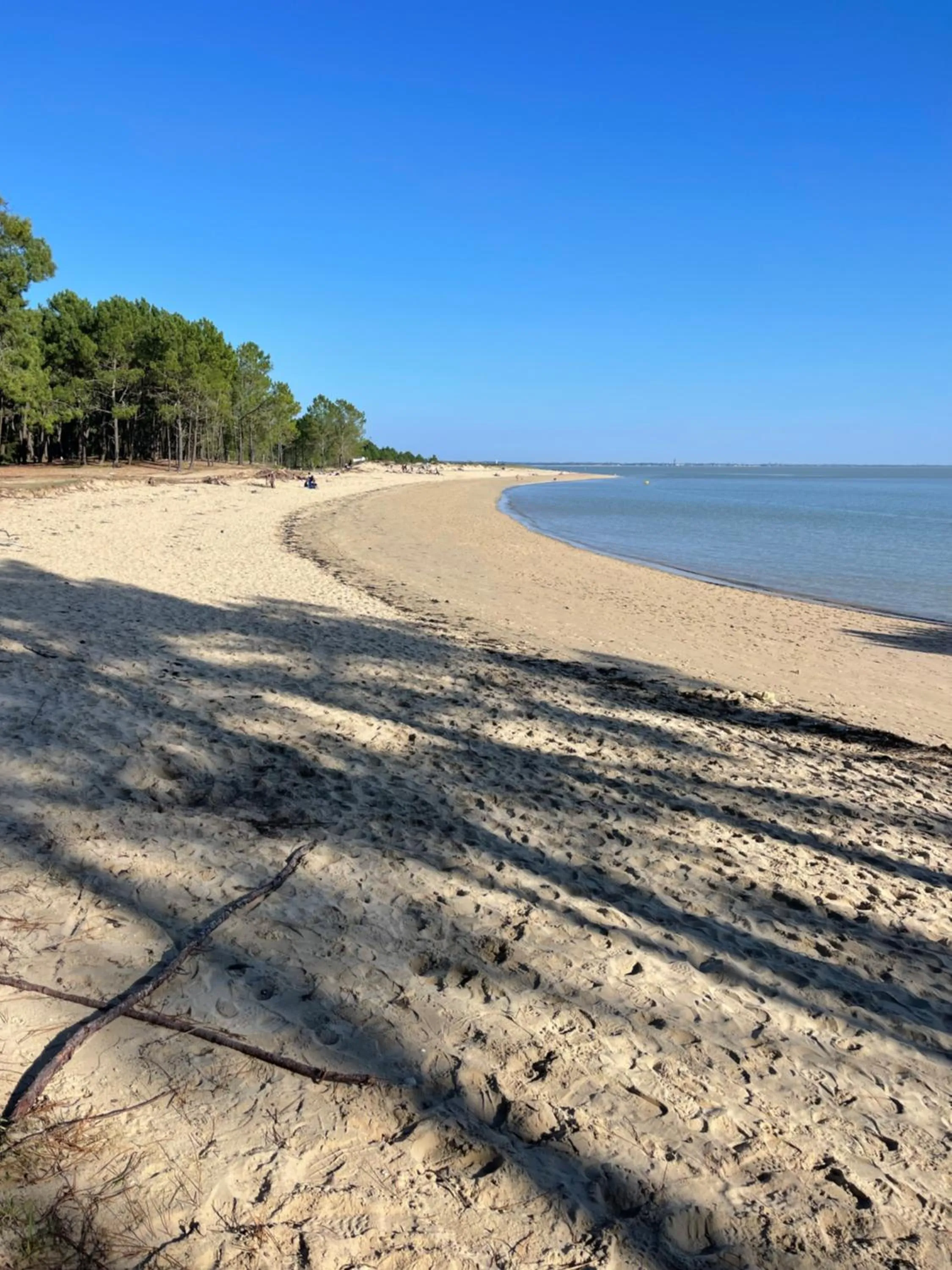 Natural landscape in Clos des Aigrettes -6 Gîtes de charme et confort à 30m du Port de La Cotinière