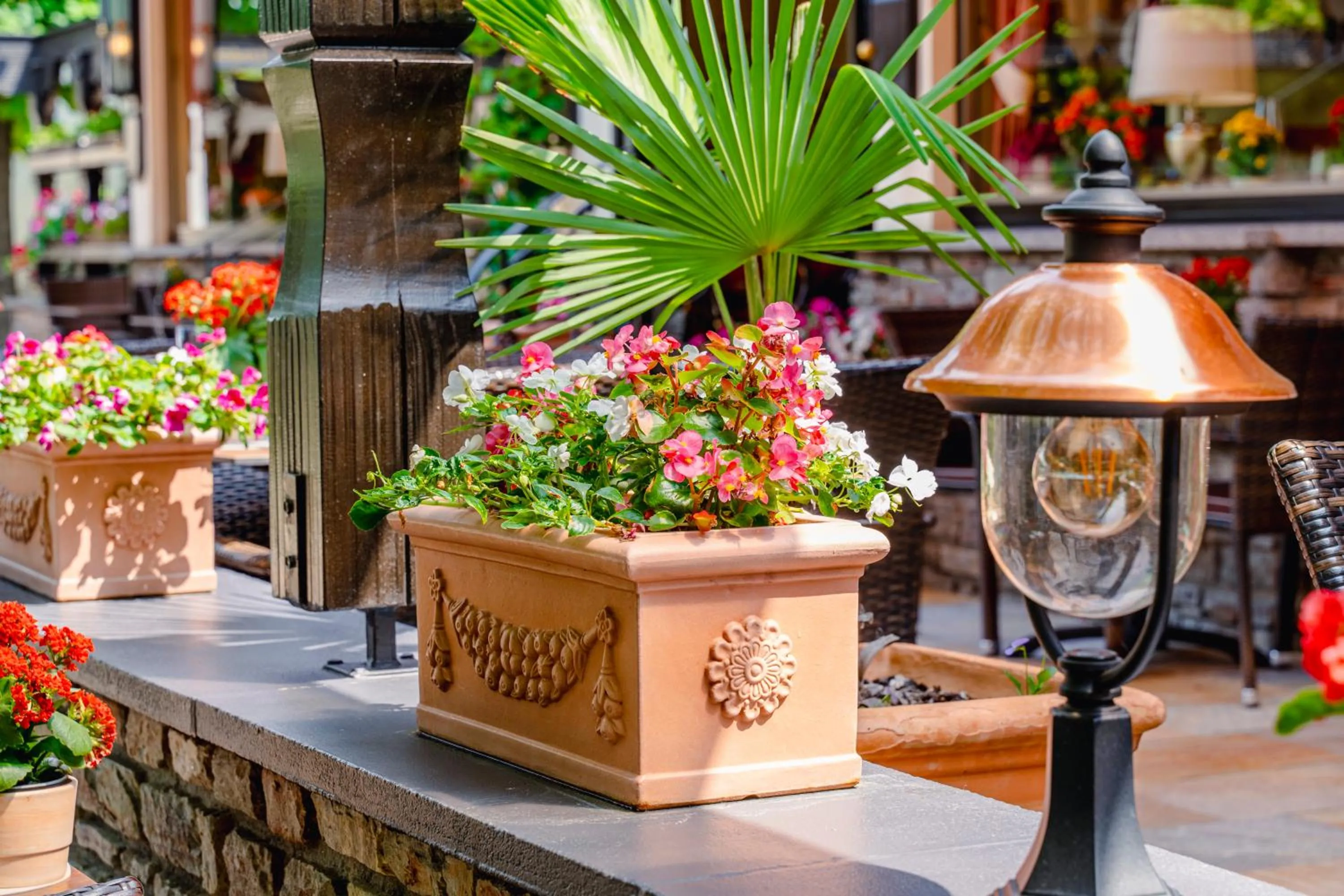 Garden in Hotel Unter den Linden
