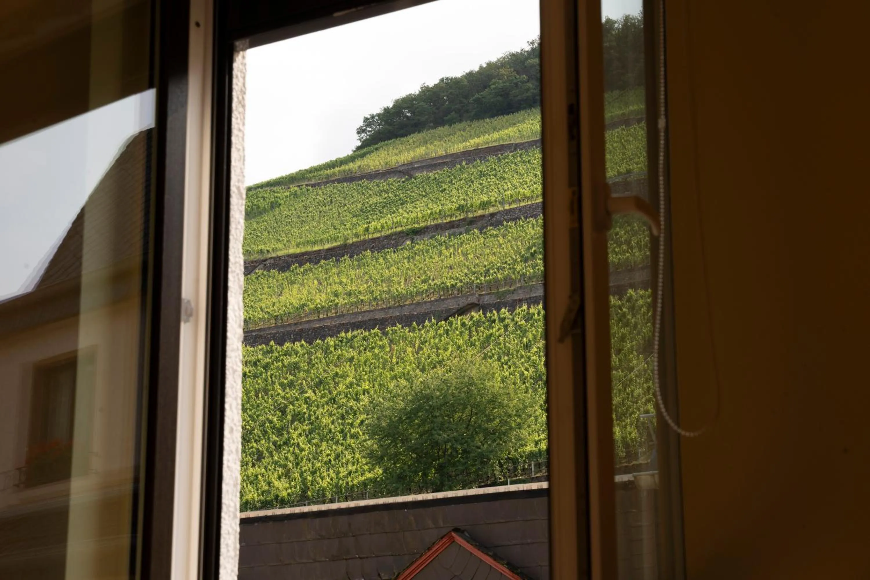 View (from property/room) in Hotel Unter den Linden