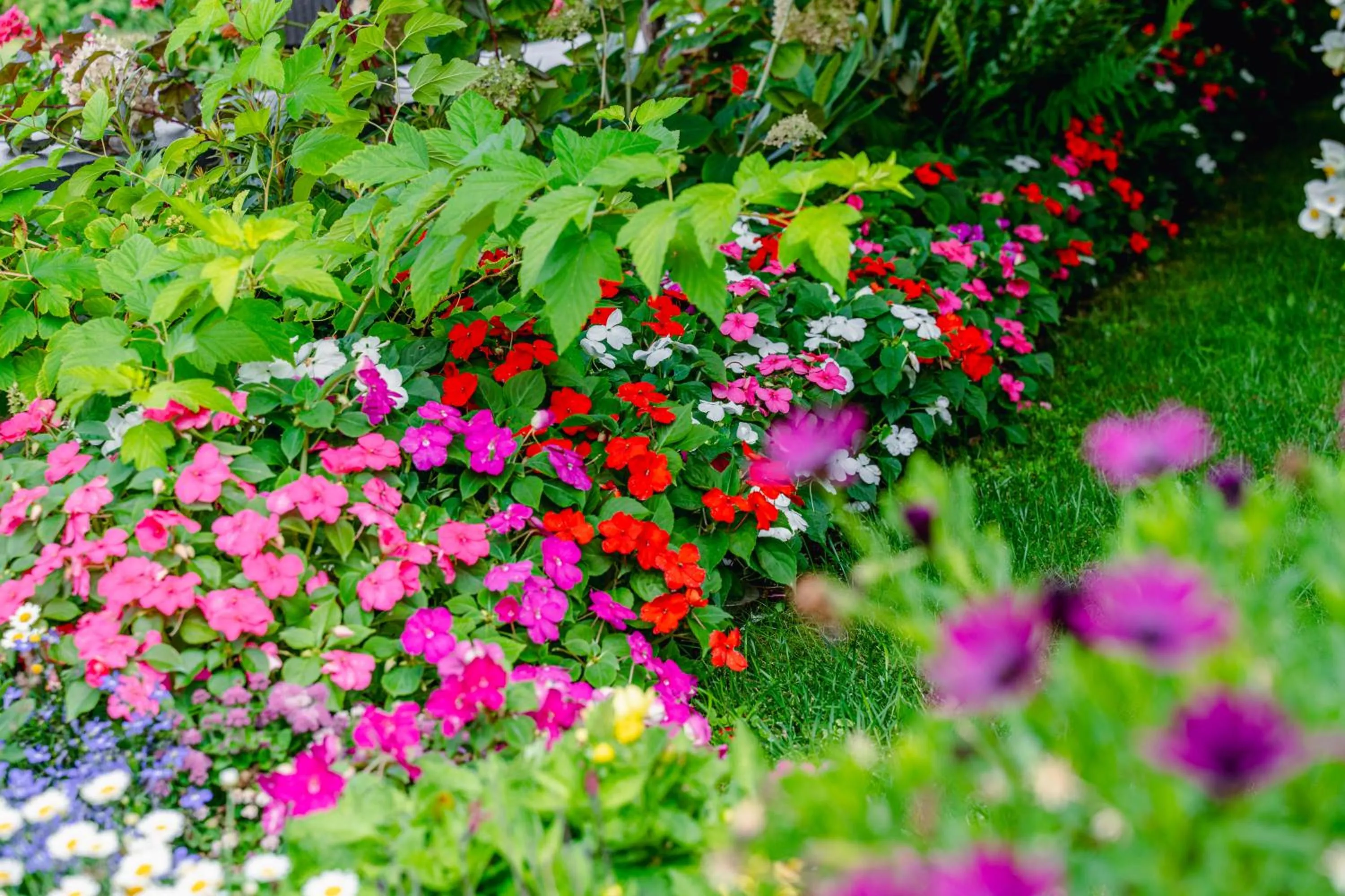 Garden in Hotel Unter den Linden
