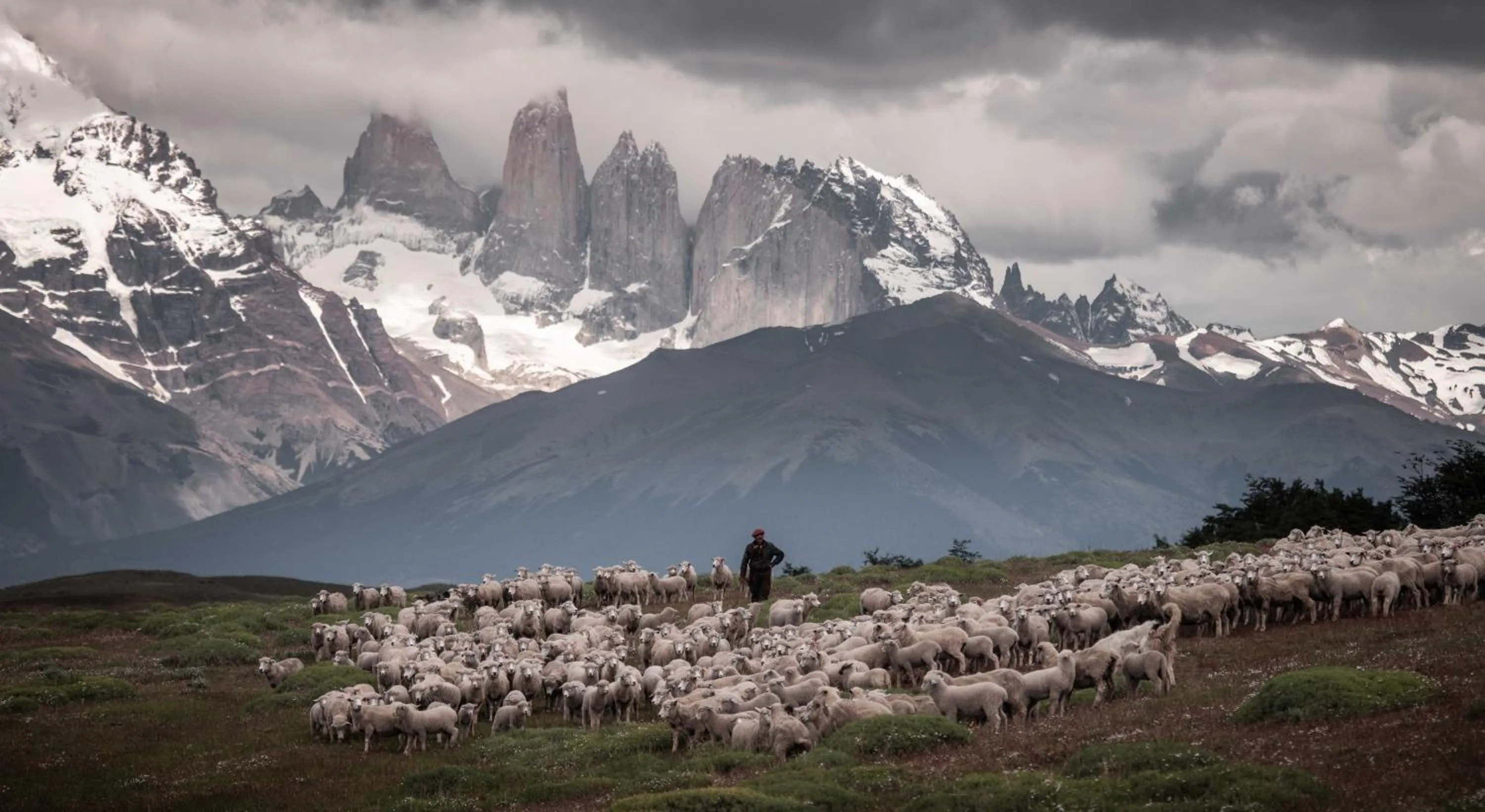 Estancia Cerro Guido