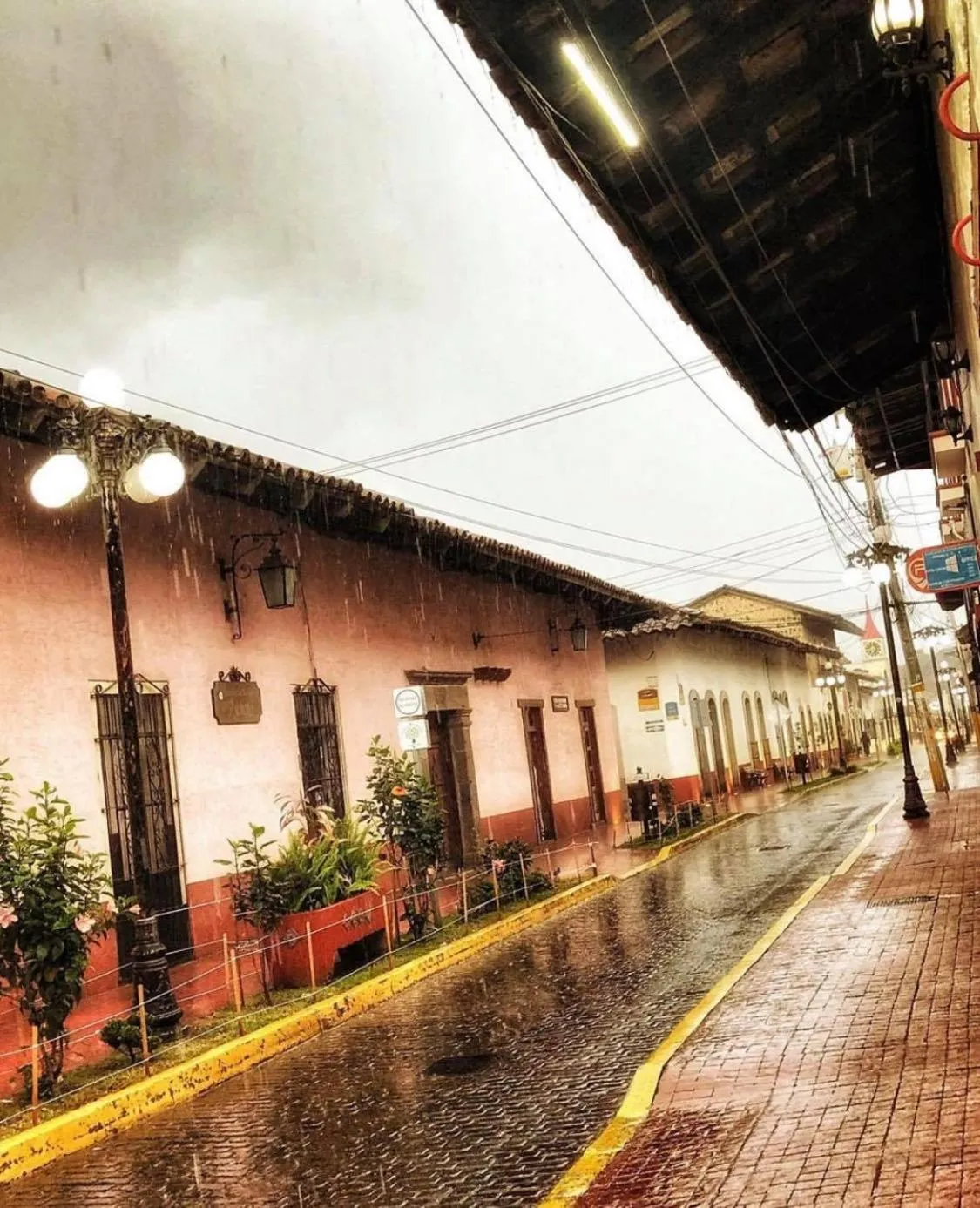 Hotel Villa De Las Flores