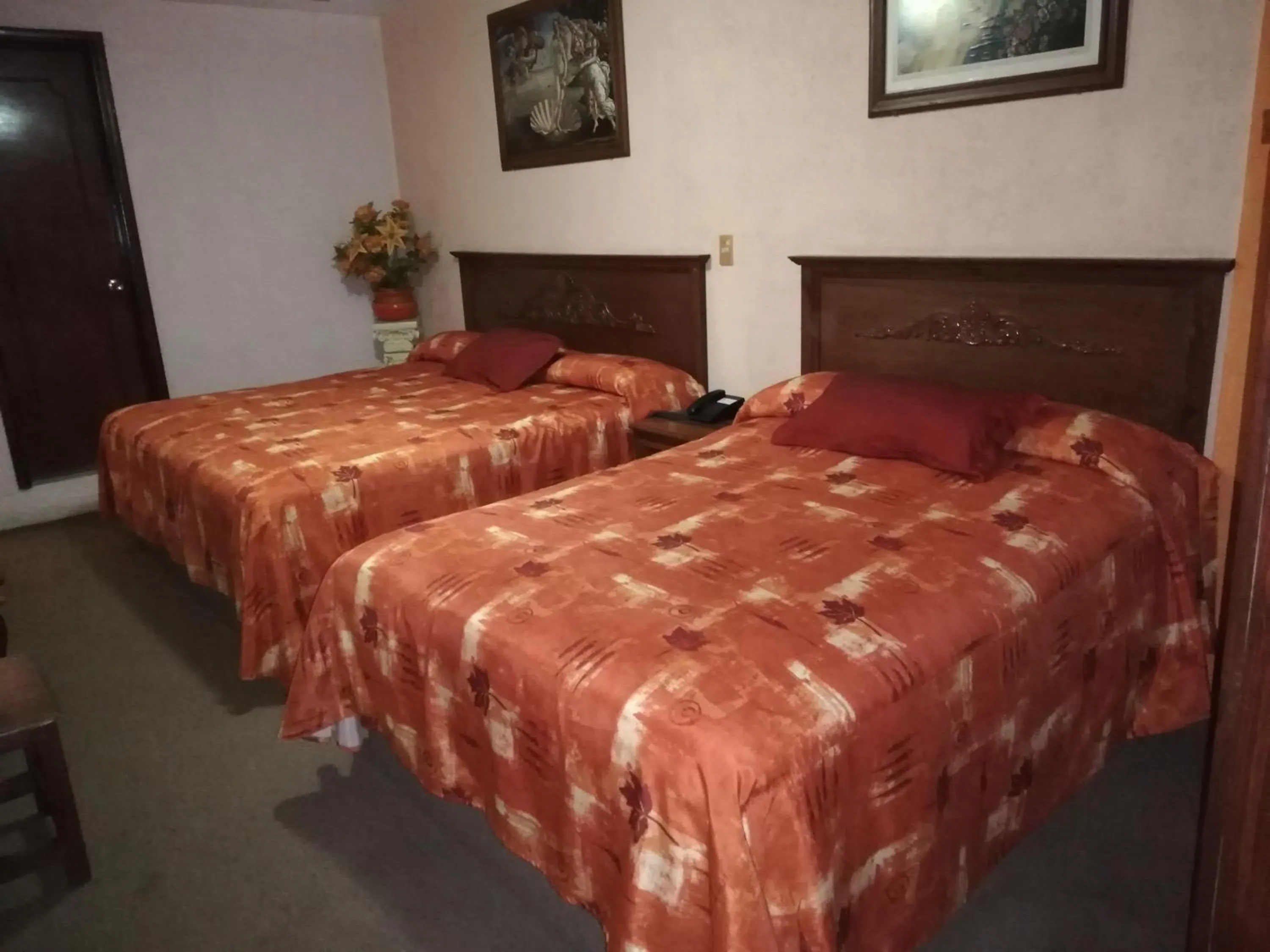 Hotel Villa De Las Flores