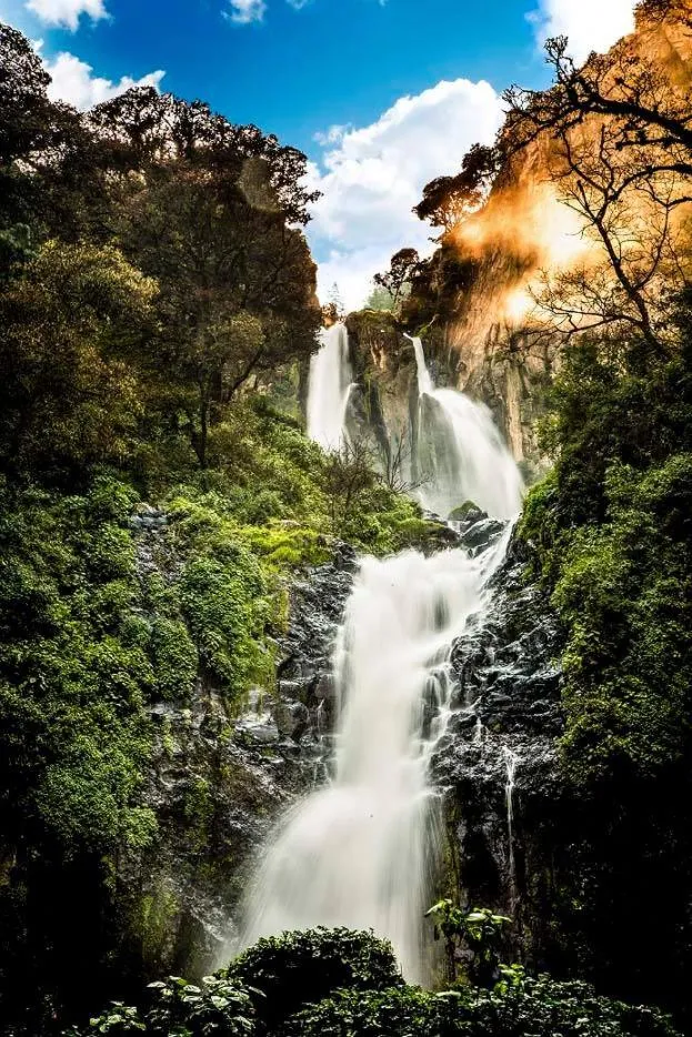 Hotel Villa De Las Flores