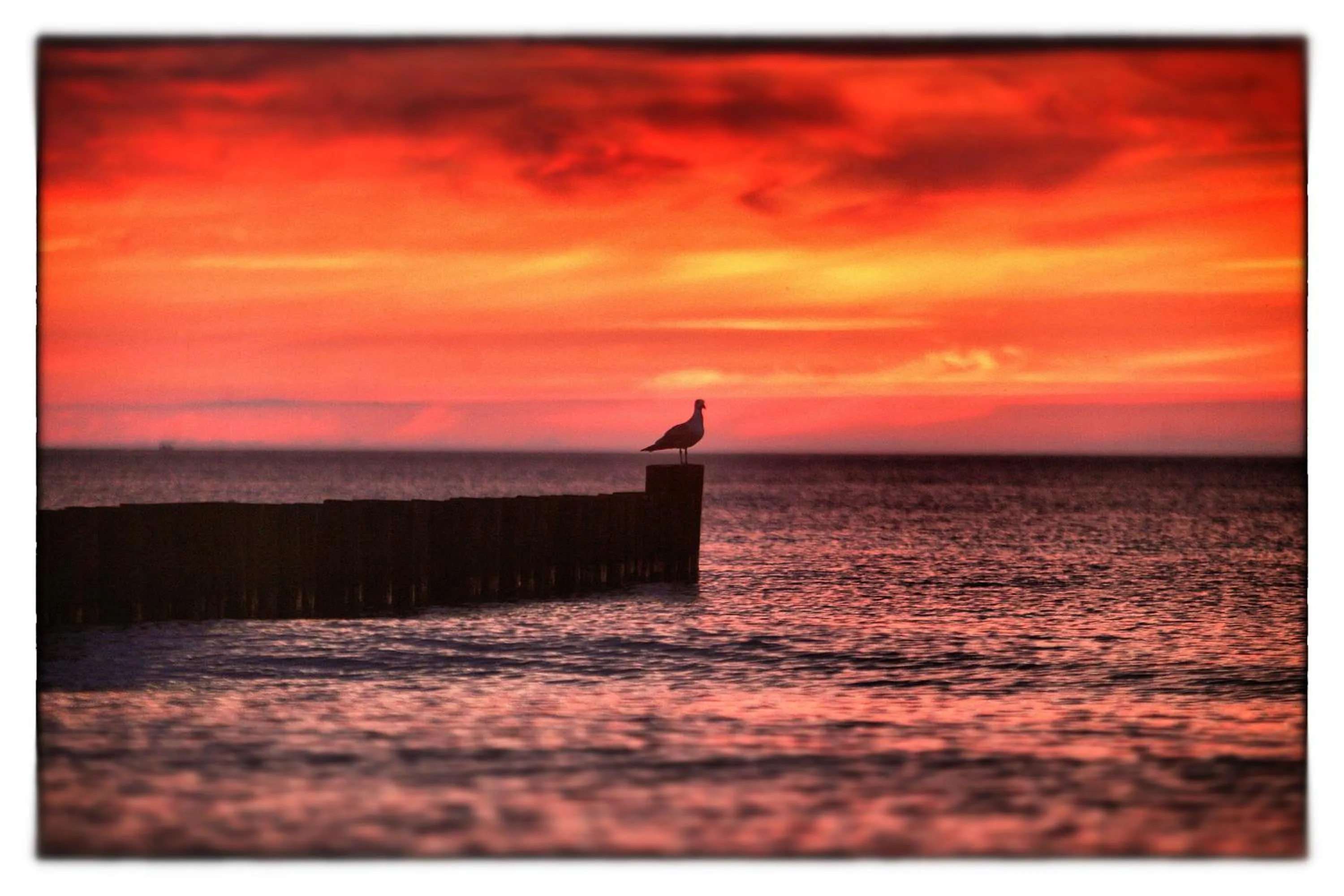 Natural landscape in Der Fischländer Garni