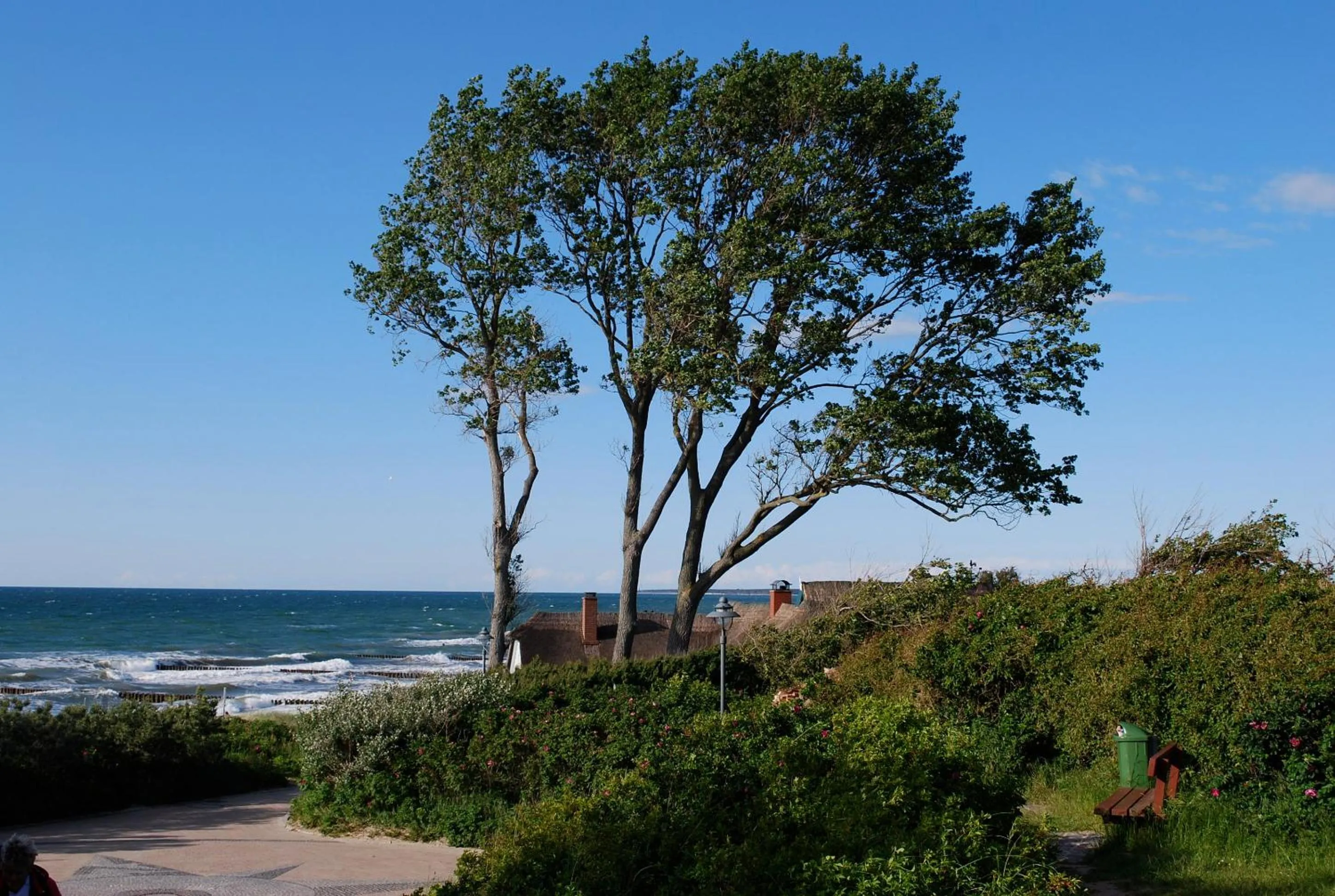 Natural landscape in Der Fischländer Garni