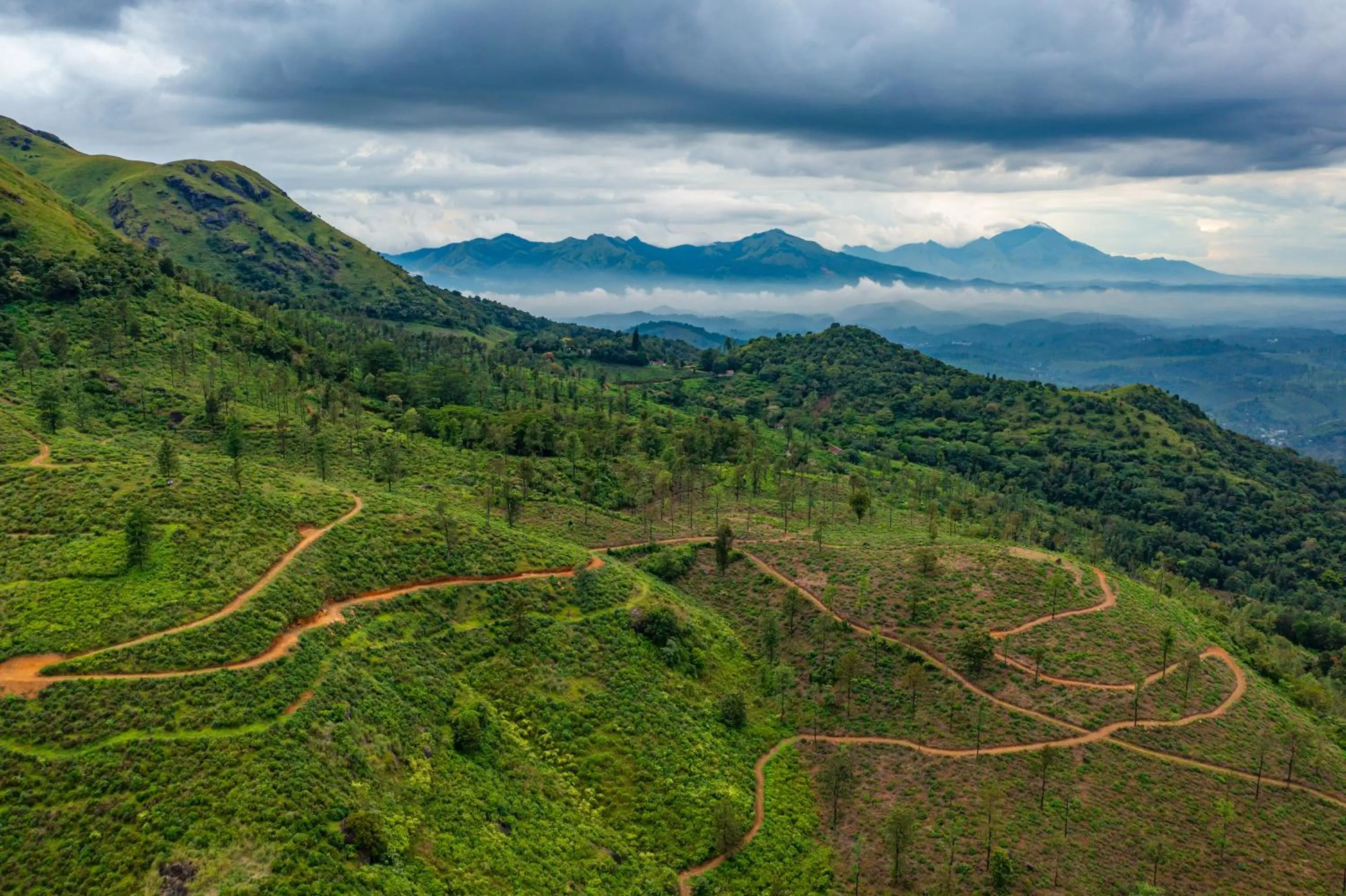 Natural landscape in Zostel Plus Wayanad