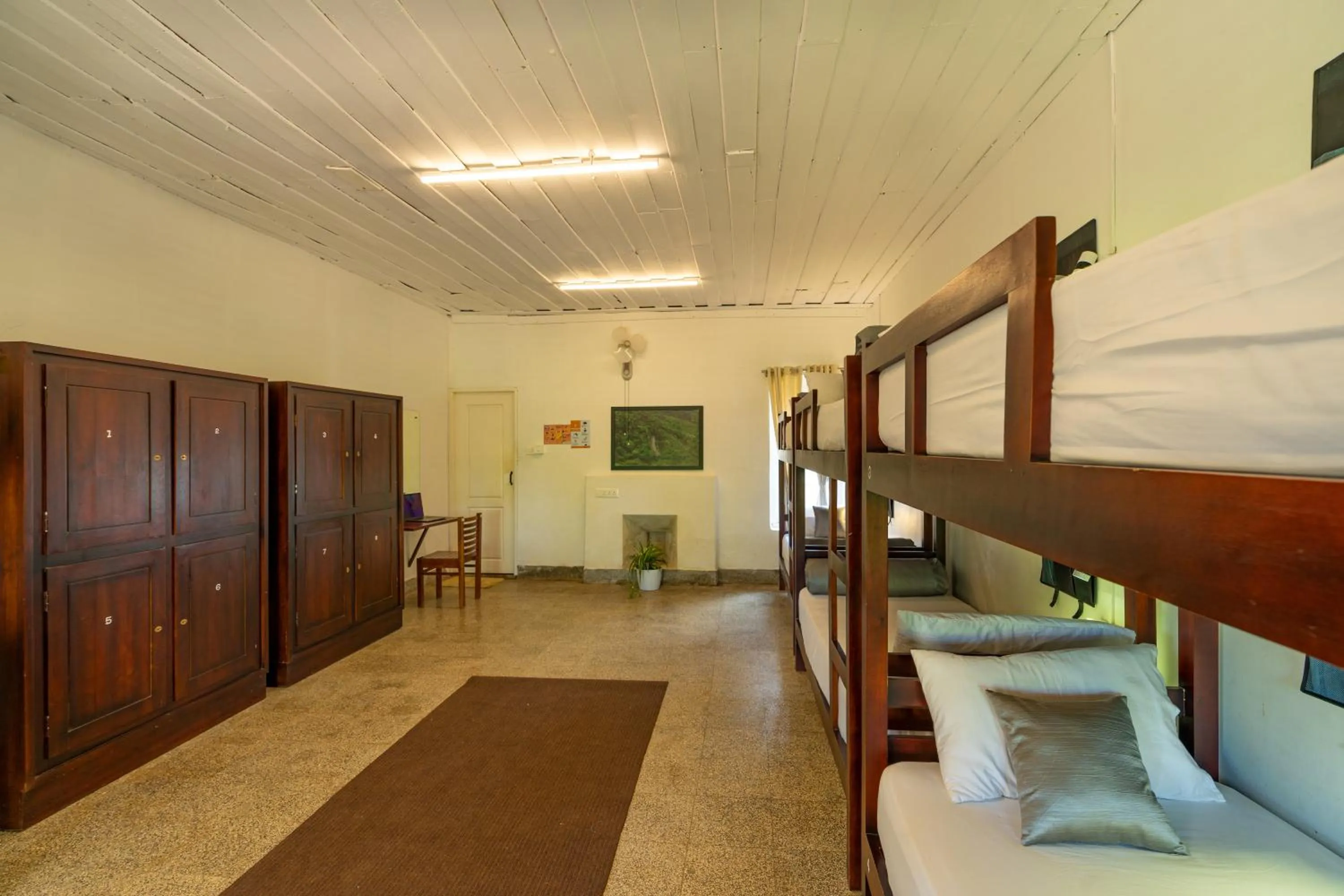 bunk bed, Bed in Zostel Plus Wayanad