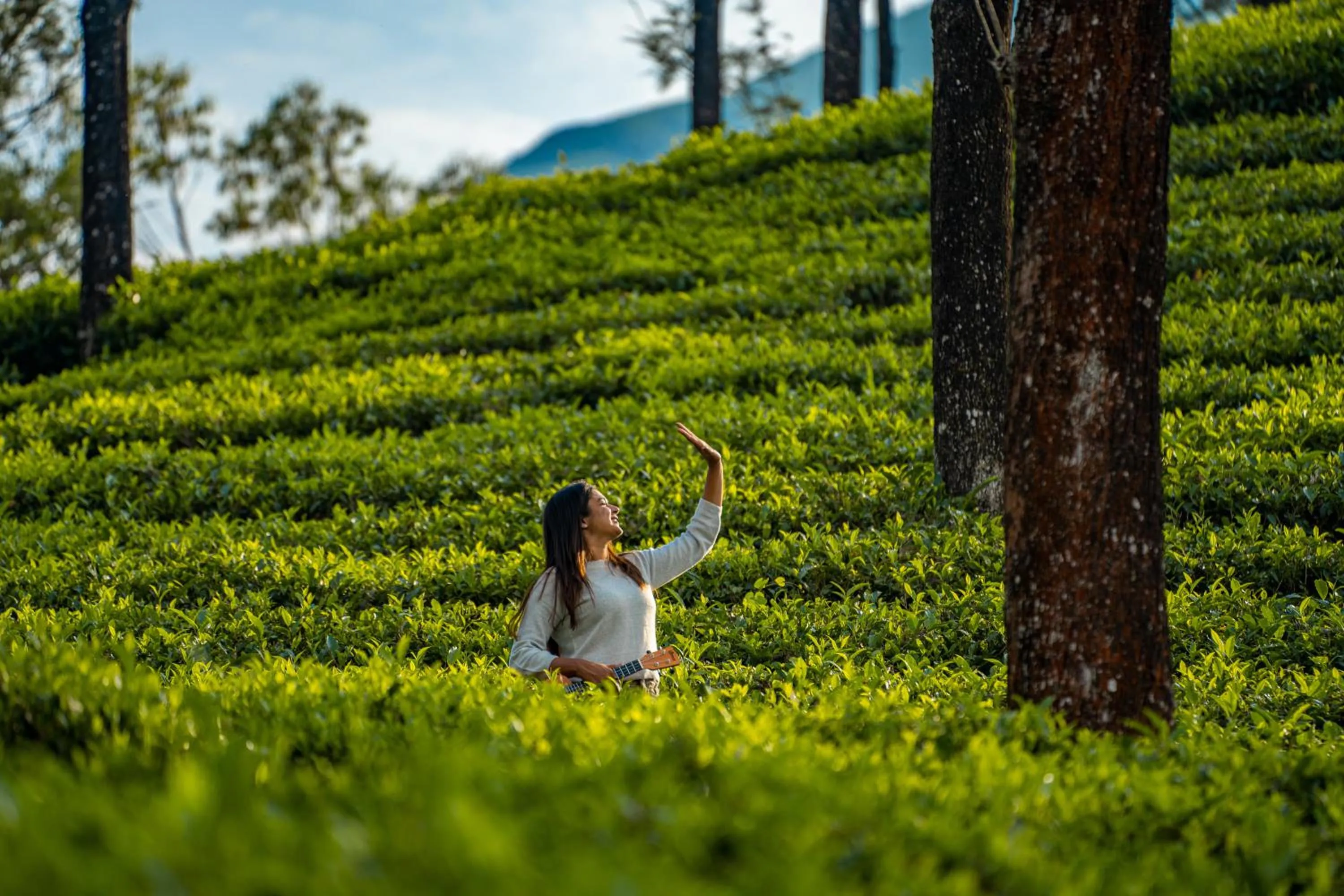 People in Zostel Plus Wayanad