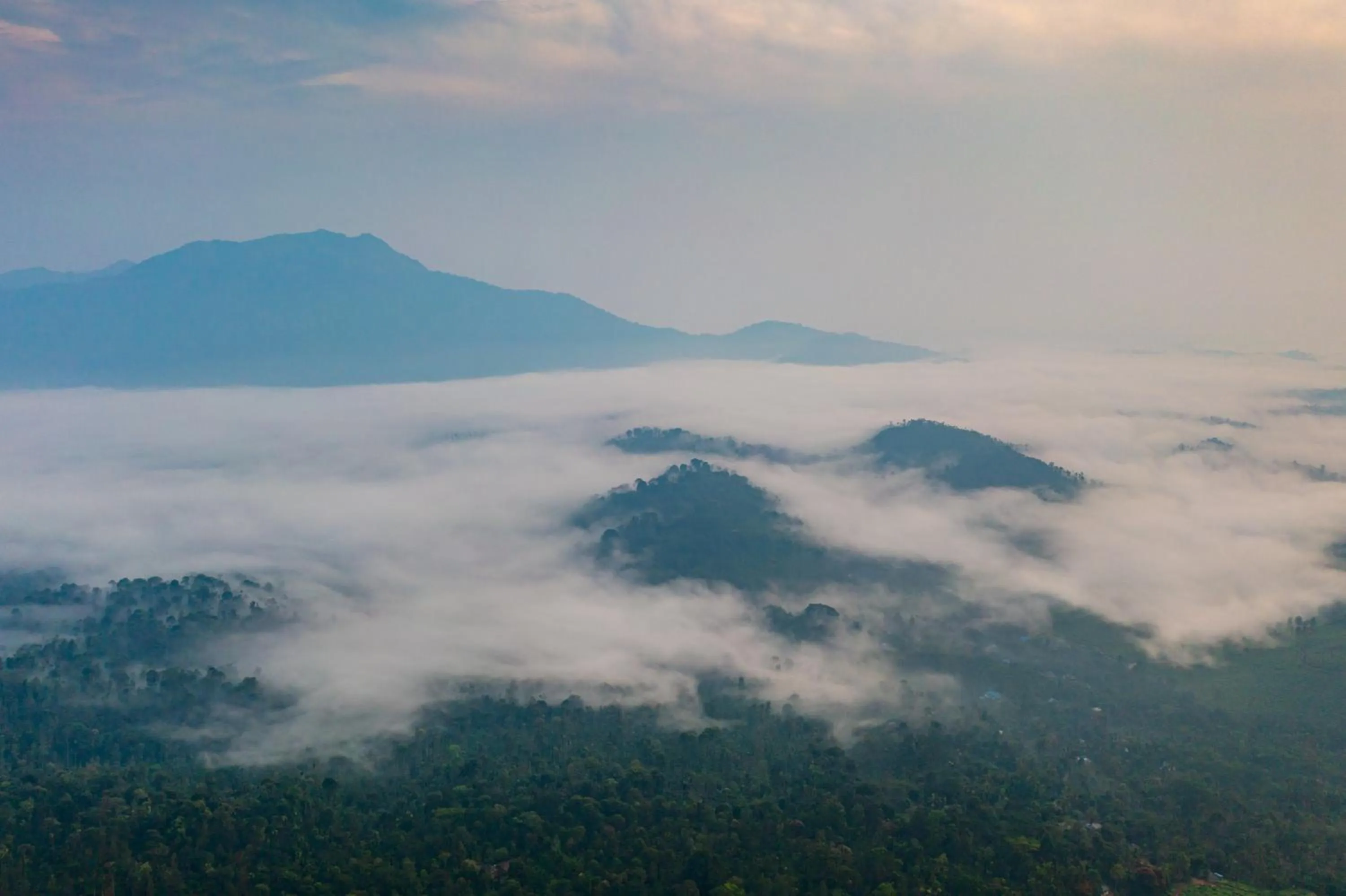 Natural landscape in Zostel Plus Wayanad