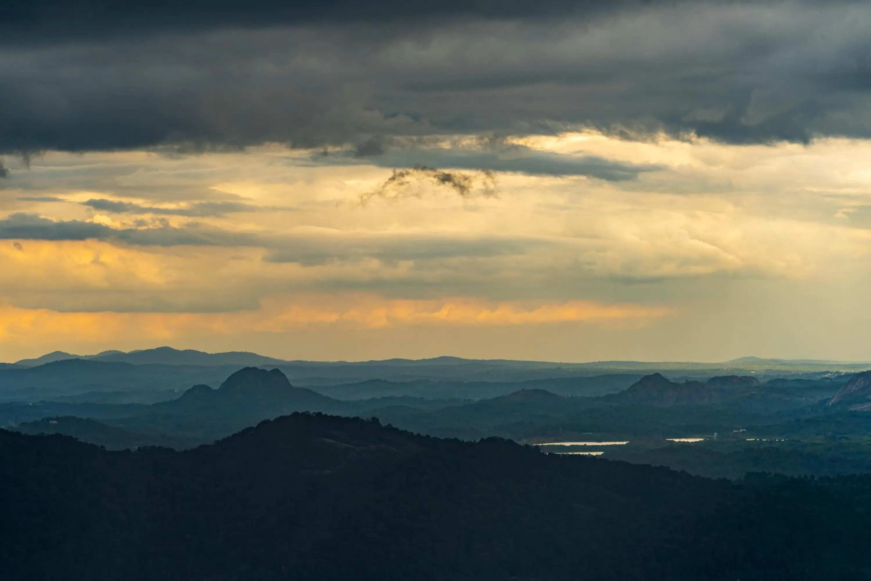 Natural landscape in Zostel Plus Wayanad