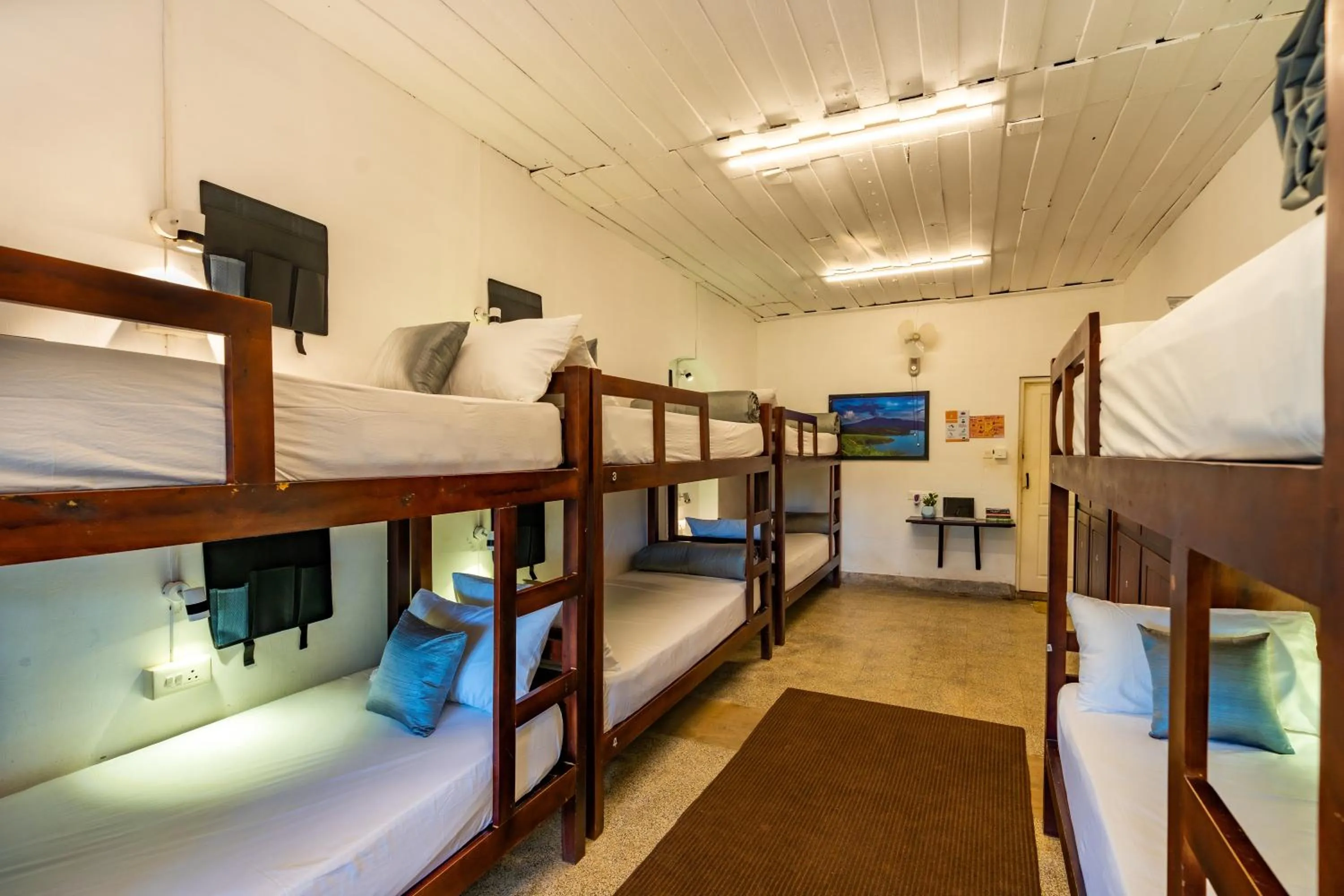 Bed in Zostel Plus Wayanad