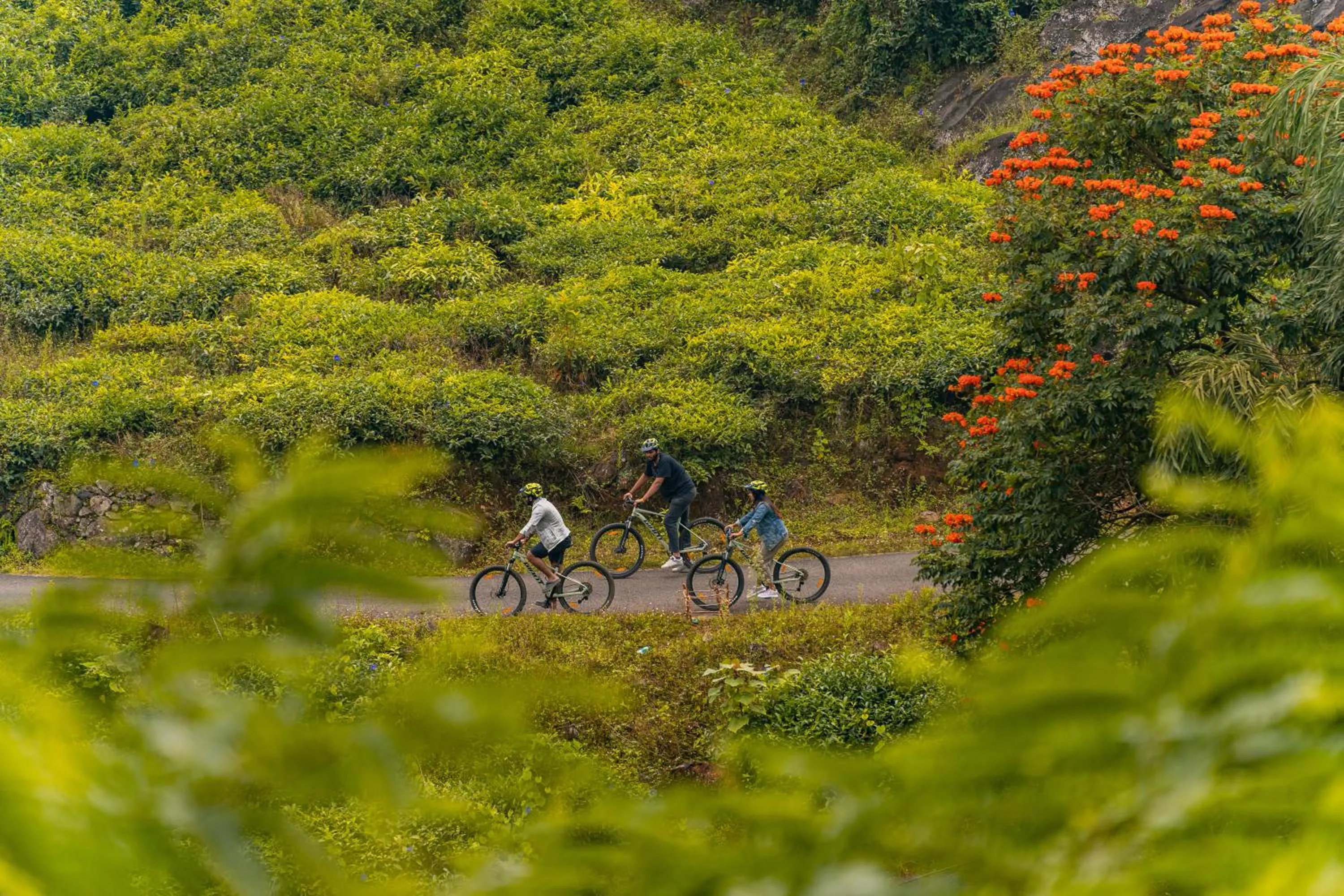 Cycling in Zostel Plus Wayanad