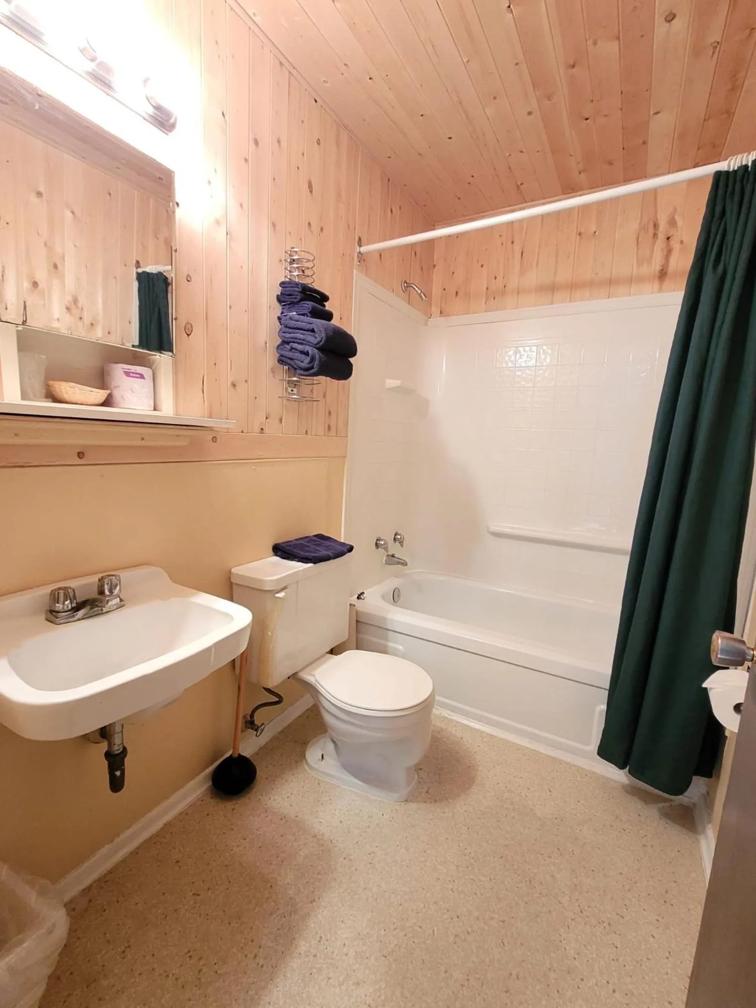 Bathroom in Shannon Motel