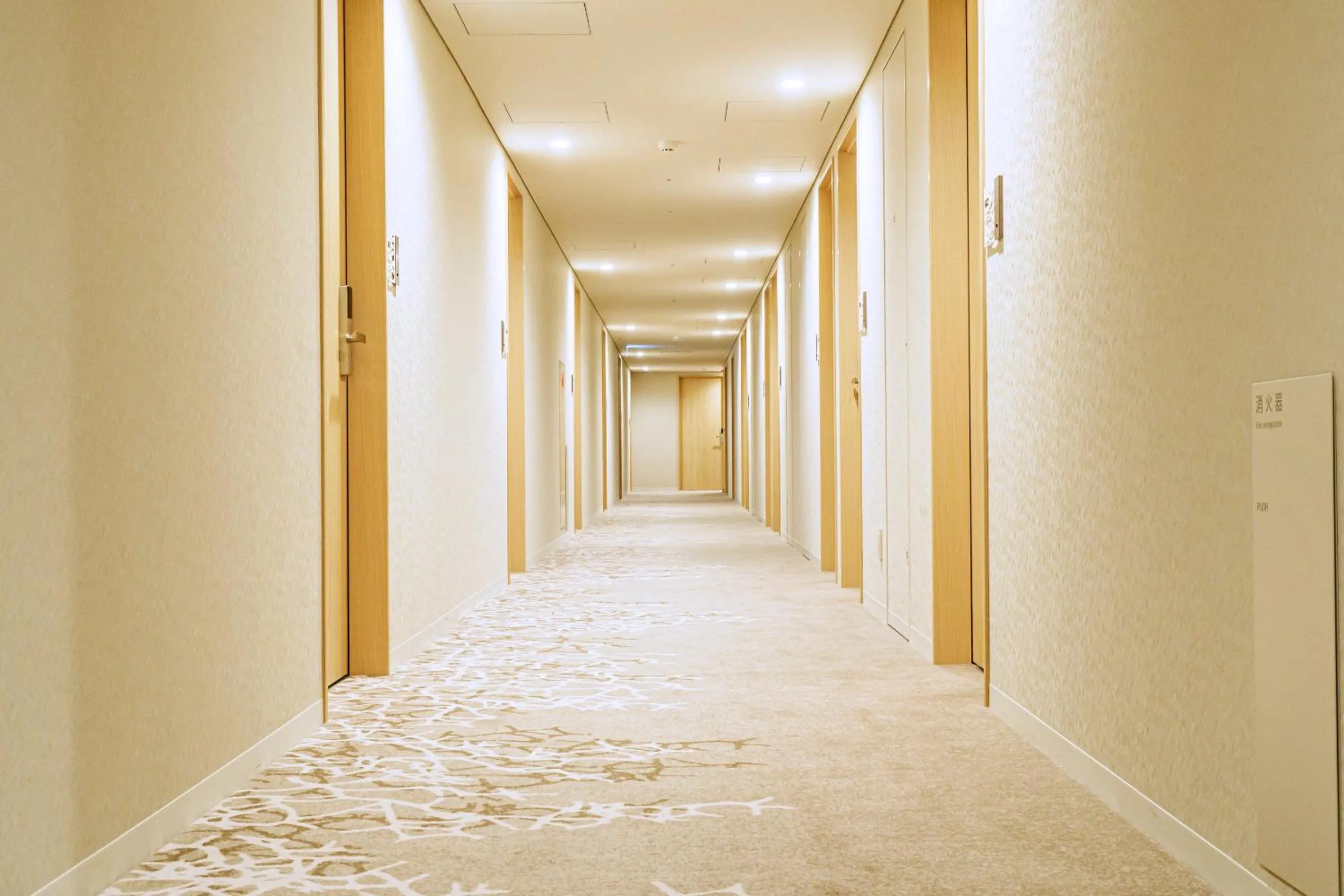 Photo of the whole room in Hotel JAL City Tokyo Toyosu