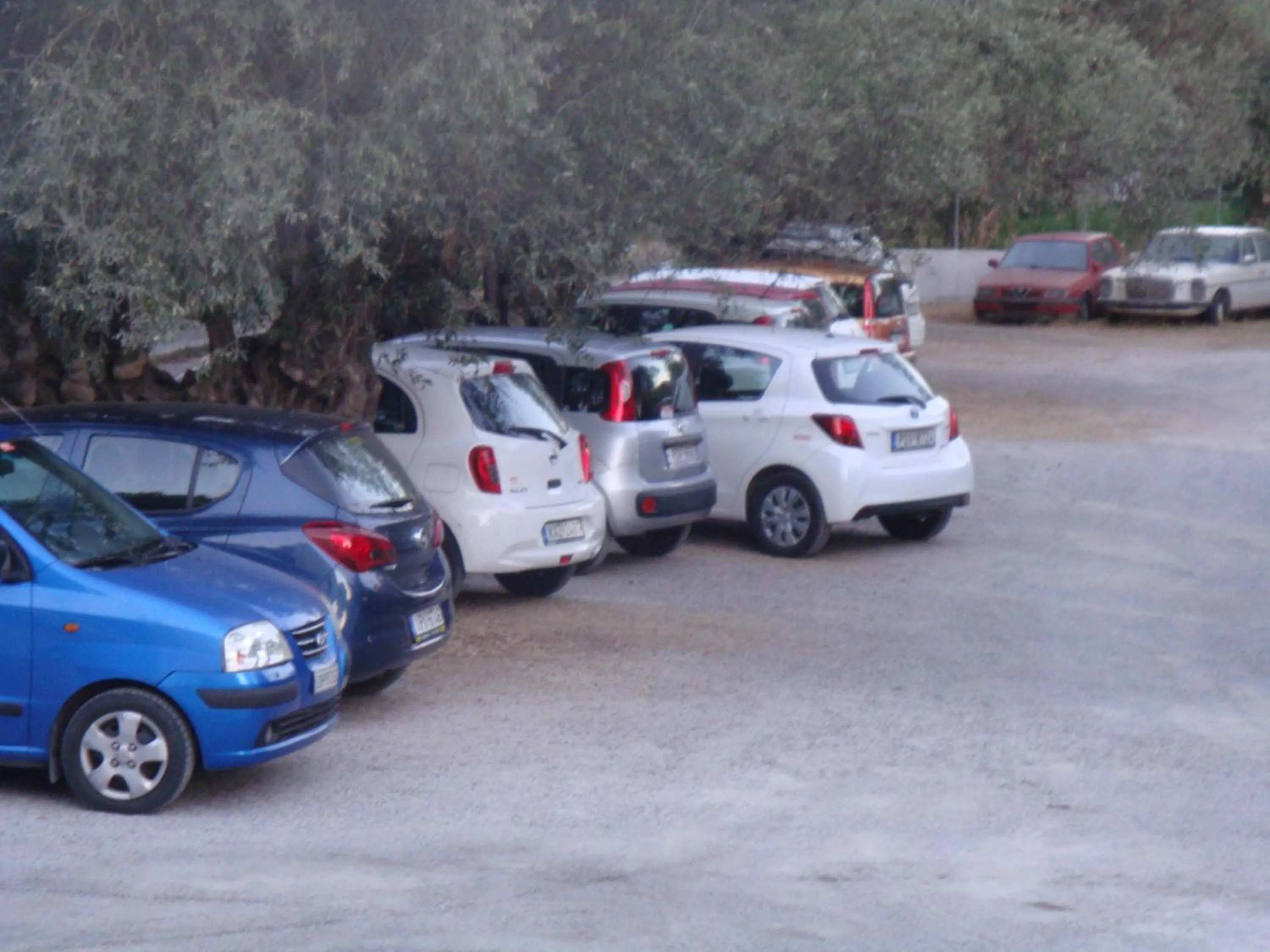 Area and facilities in Oasis Hotel Bungalows Rhodes- All Inclusive