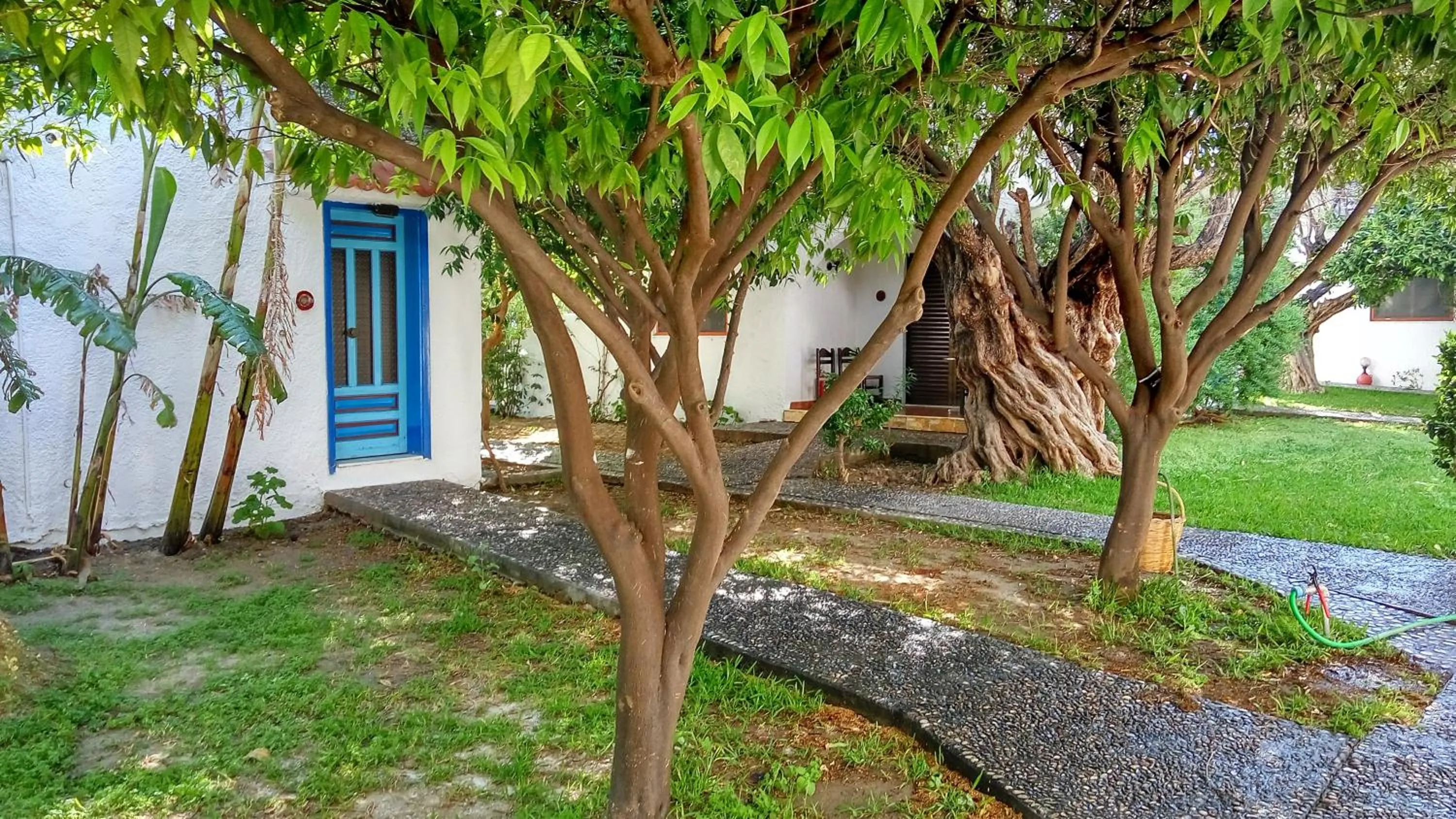 Garden in Oasis Hotel Bungalows Rhodes- All Inclusive