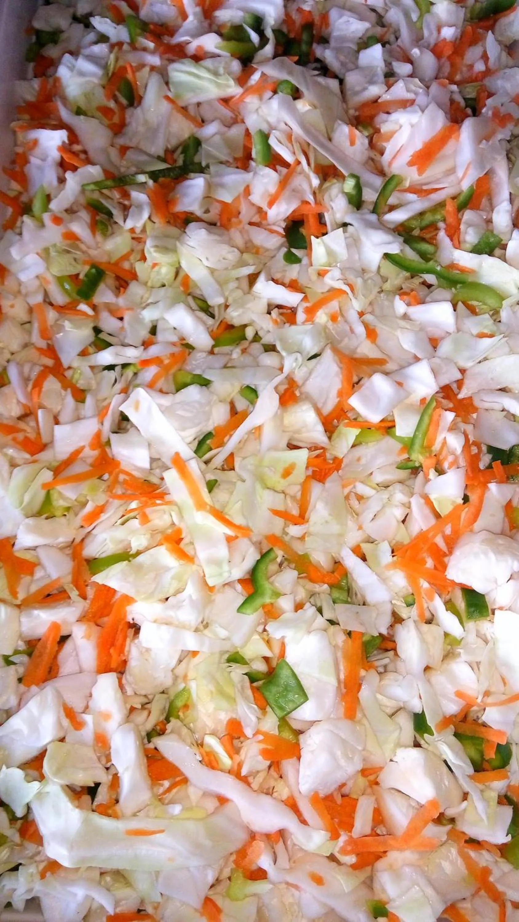 Dinner in Oasis Hotel Bungalows Rhodes- All Inclusive