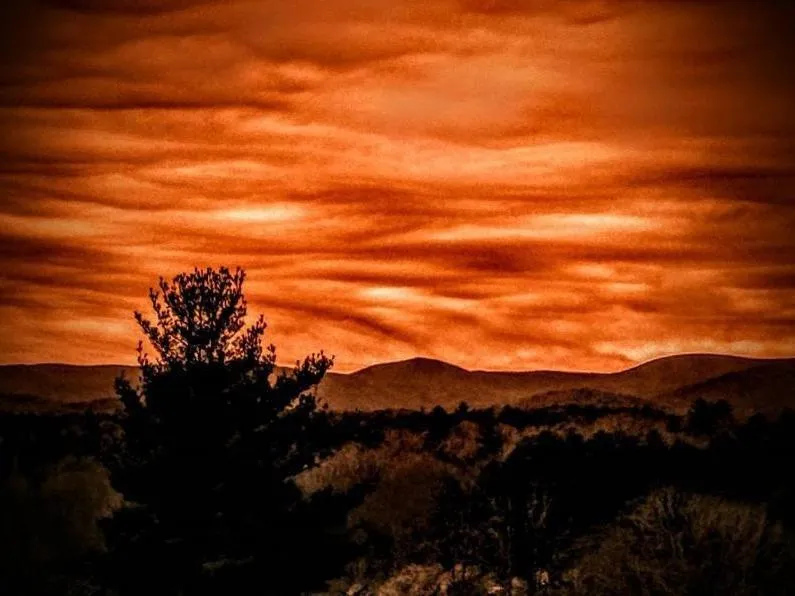 View (from property/room) in Long Mountain Lodge Bed & Breakfast