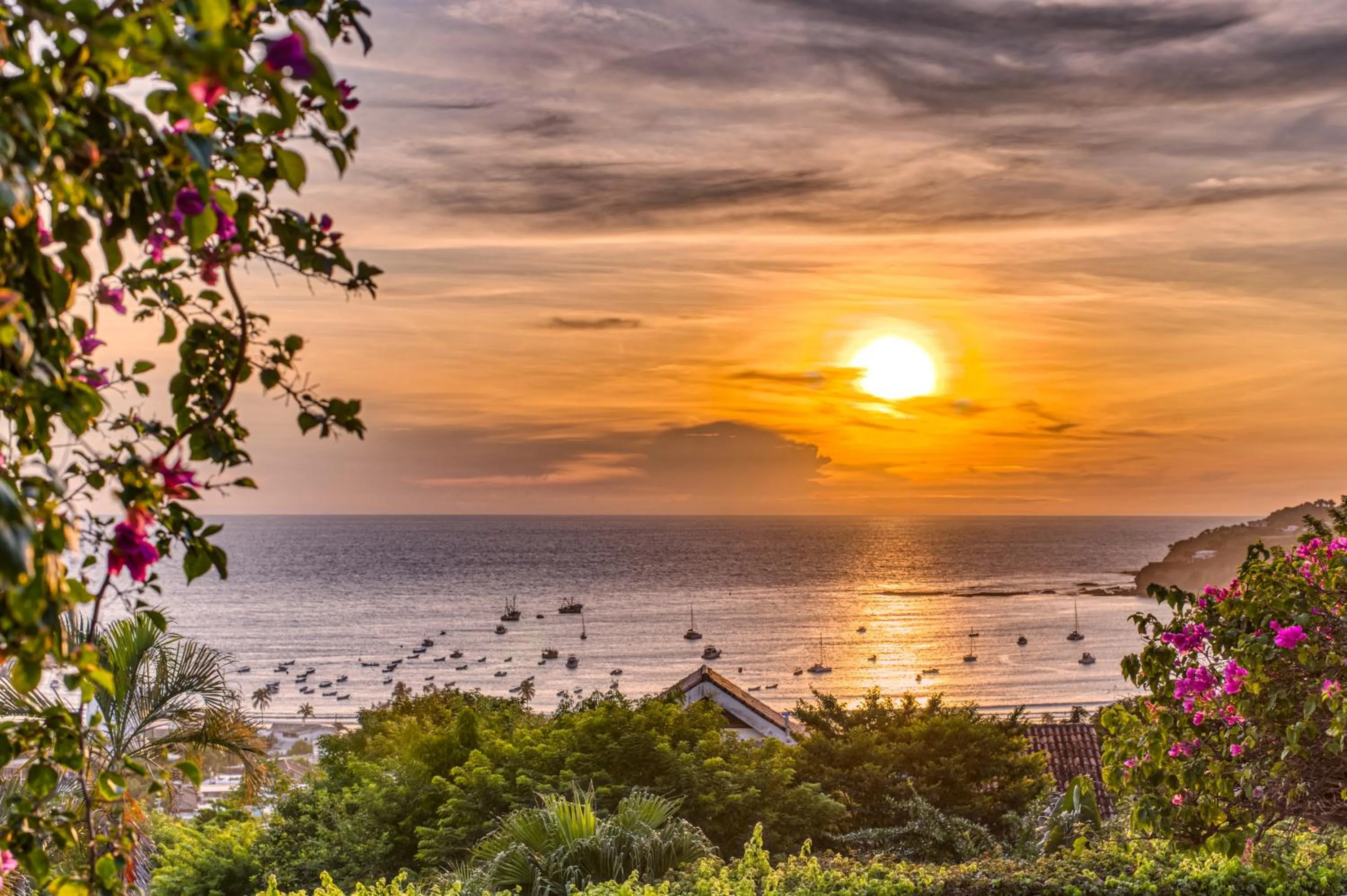 Natural landscape in Hotel Alcazar