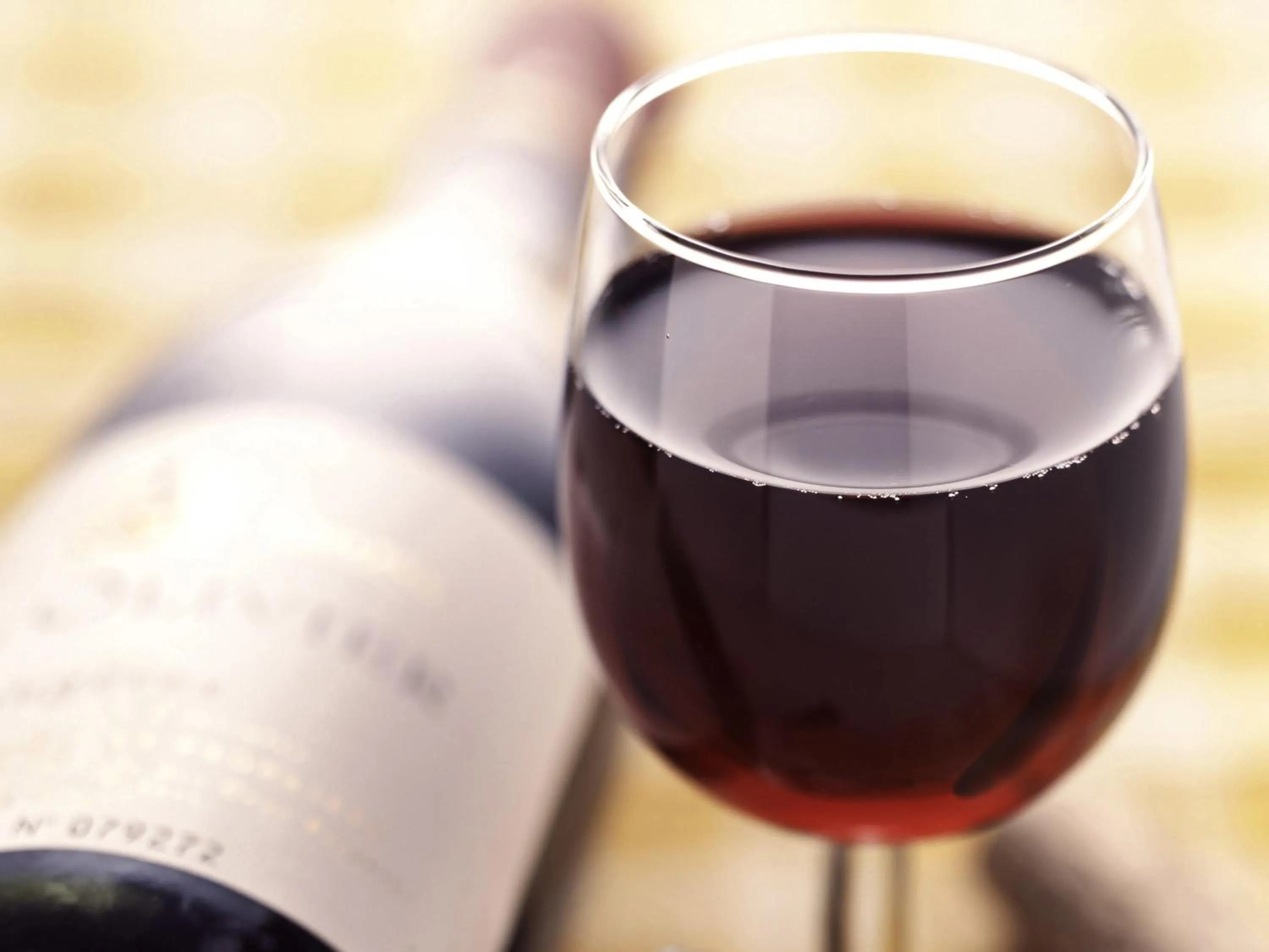 Lounge or bar in ibis Tlemcen