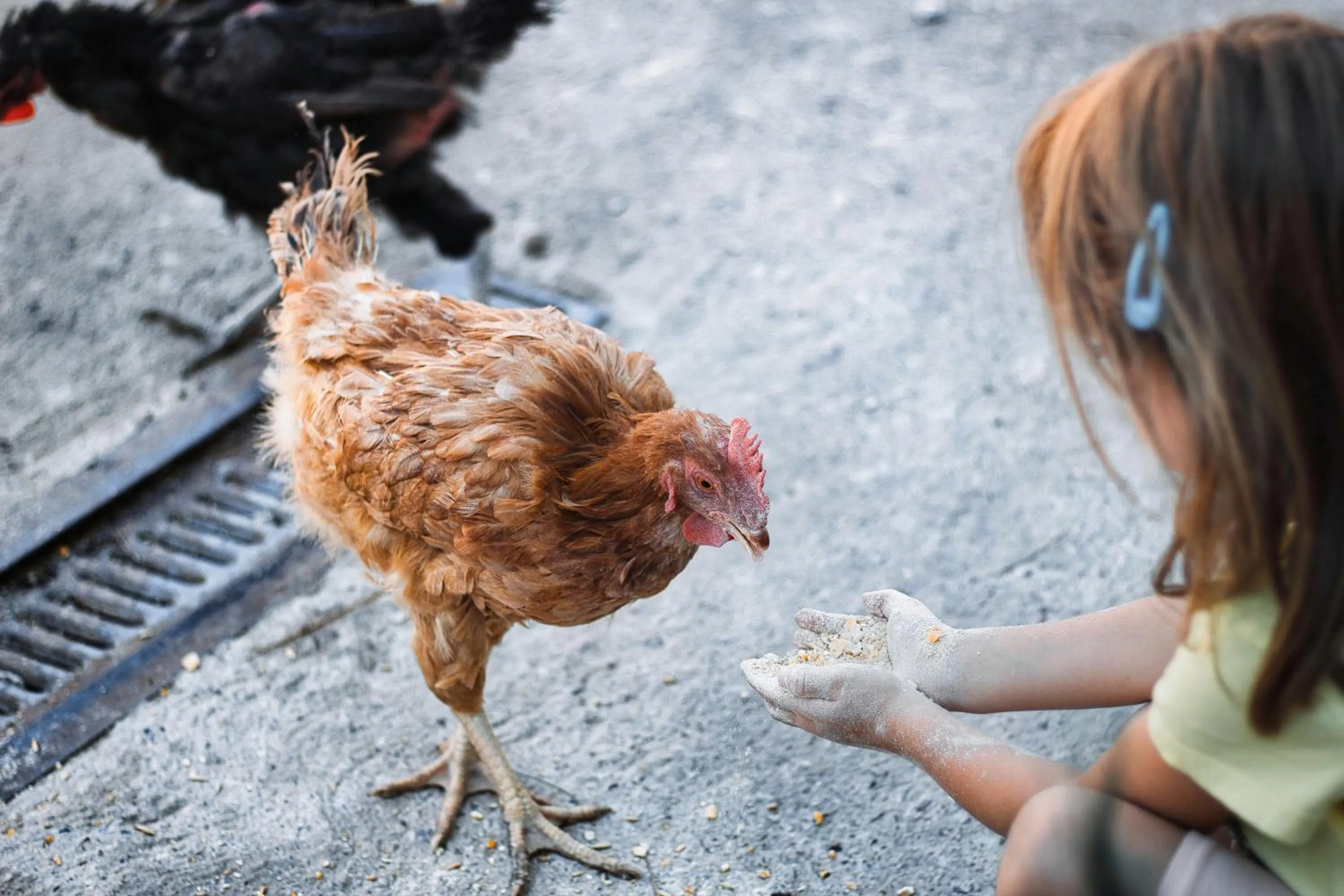 Posada Rural SPA Granja LA TEJERA de Lozoya
