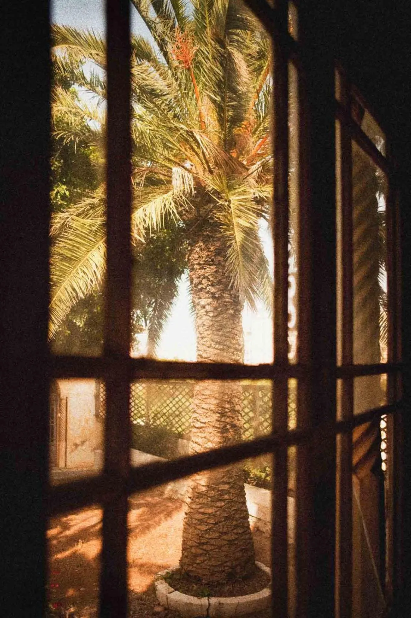 Natural landscape in Royal Hotel Oran - MGallery Collection