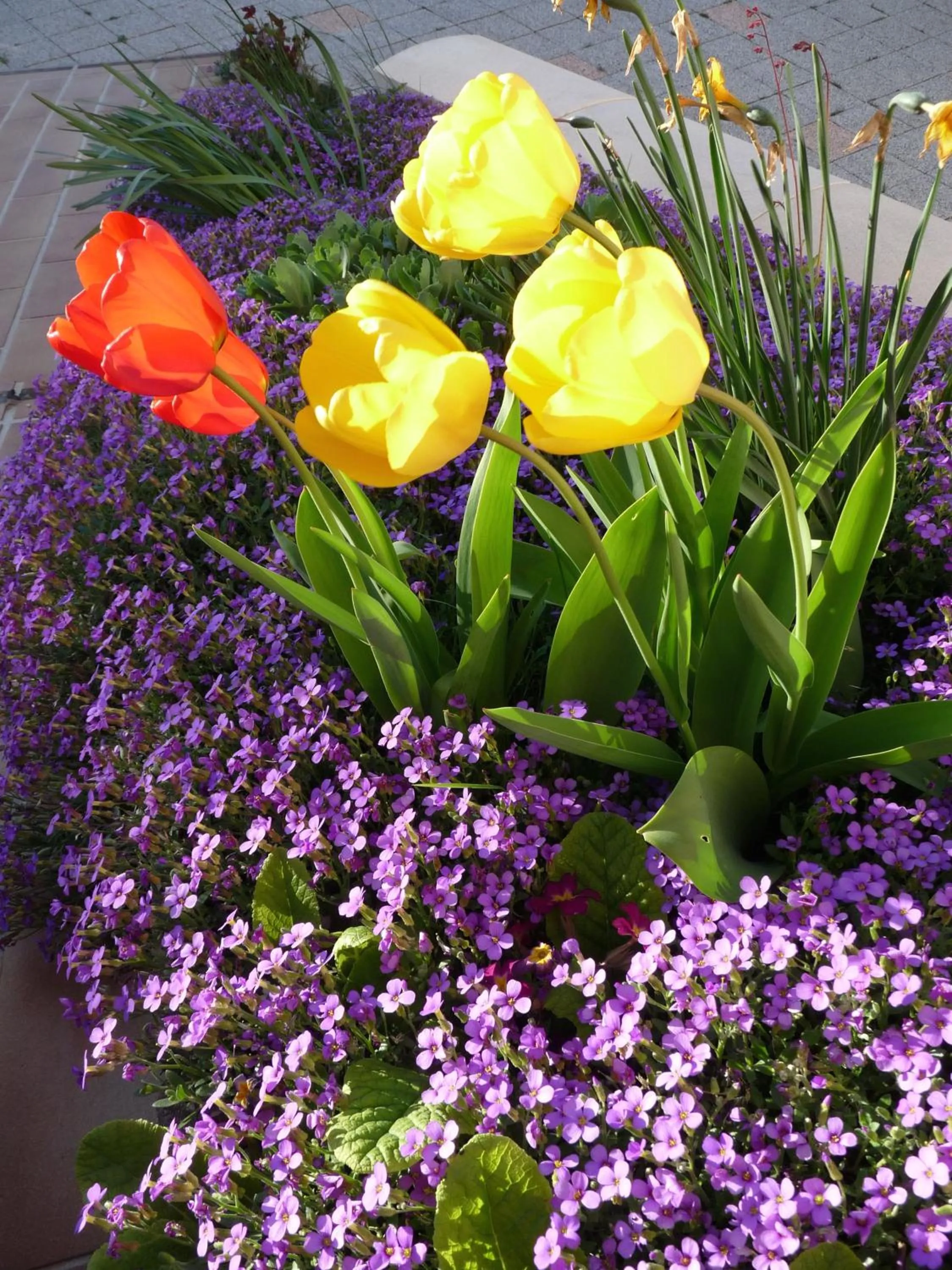 Property building in Les Aubretias