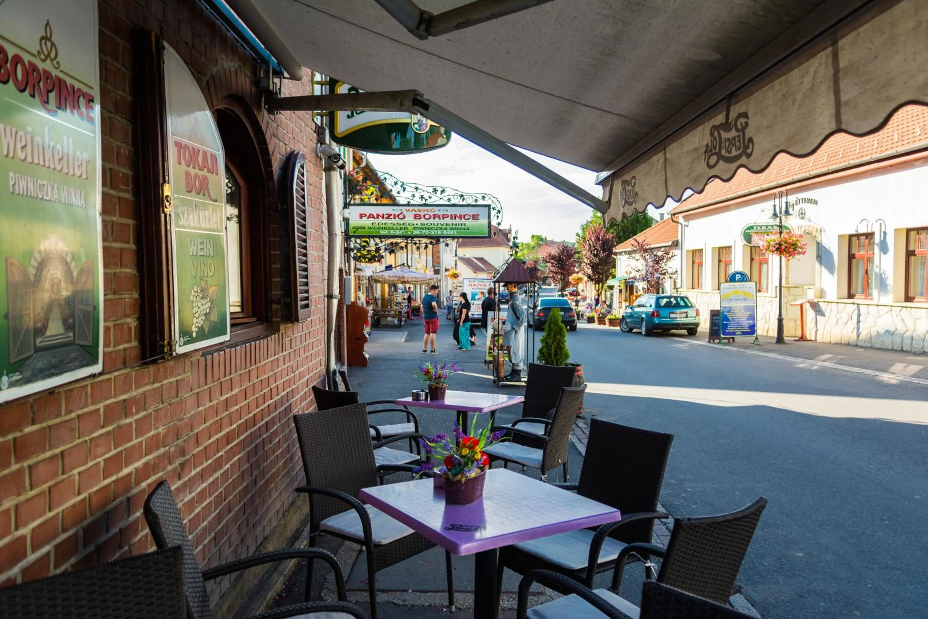 Patio in Vaskó Panzió Borpince