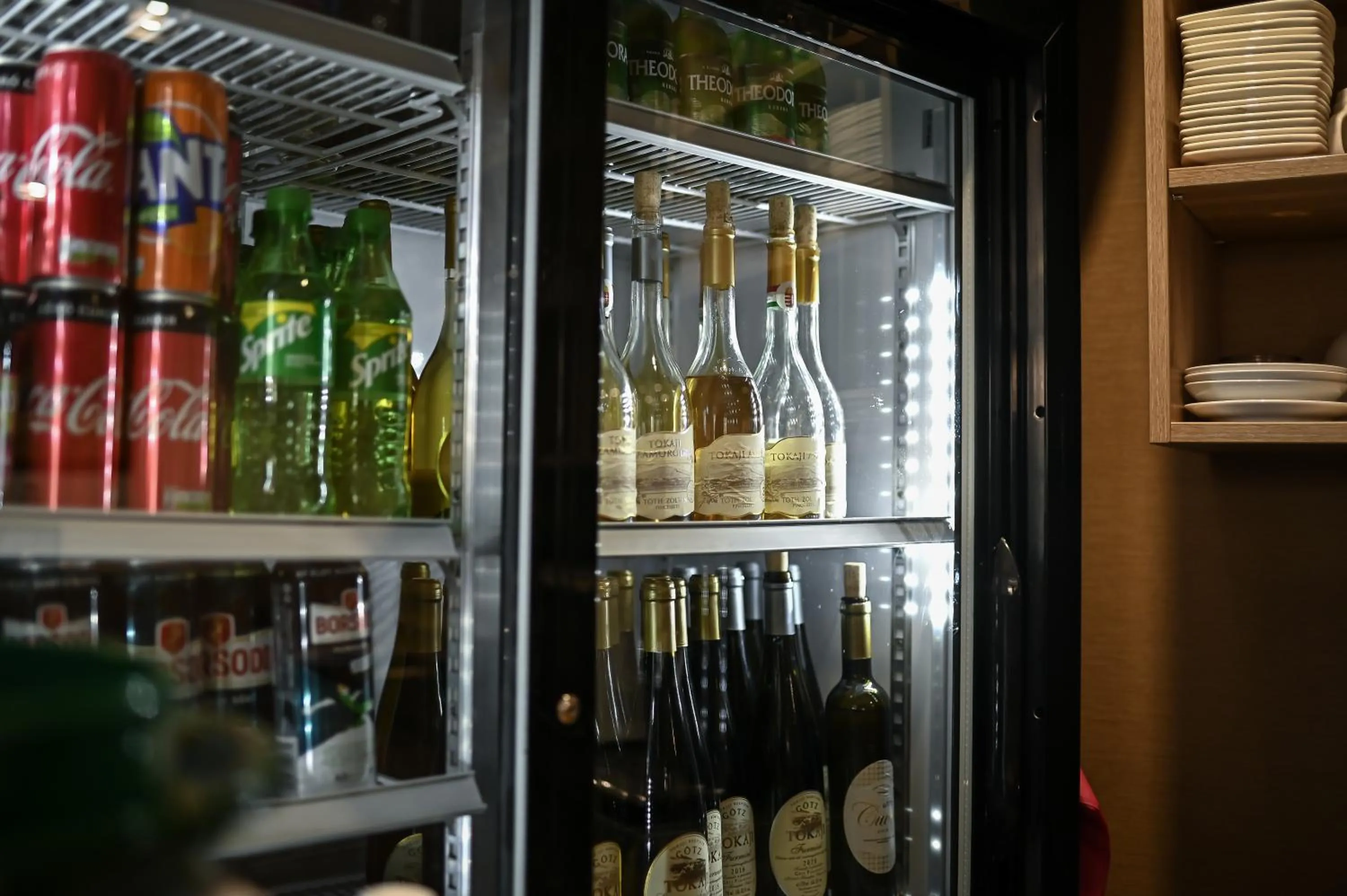 Drinks in Vaskó Panzió Borpince