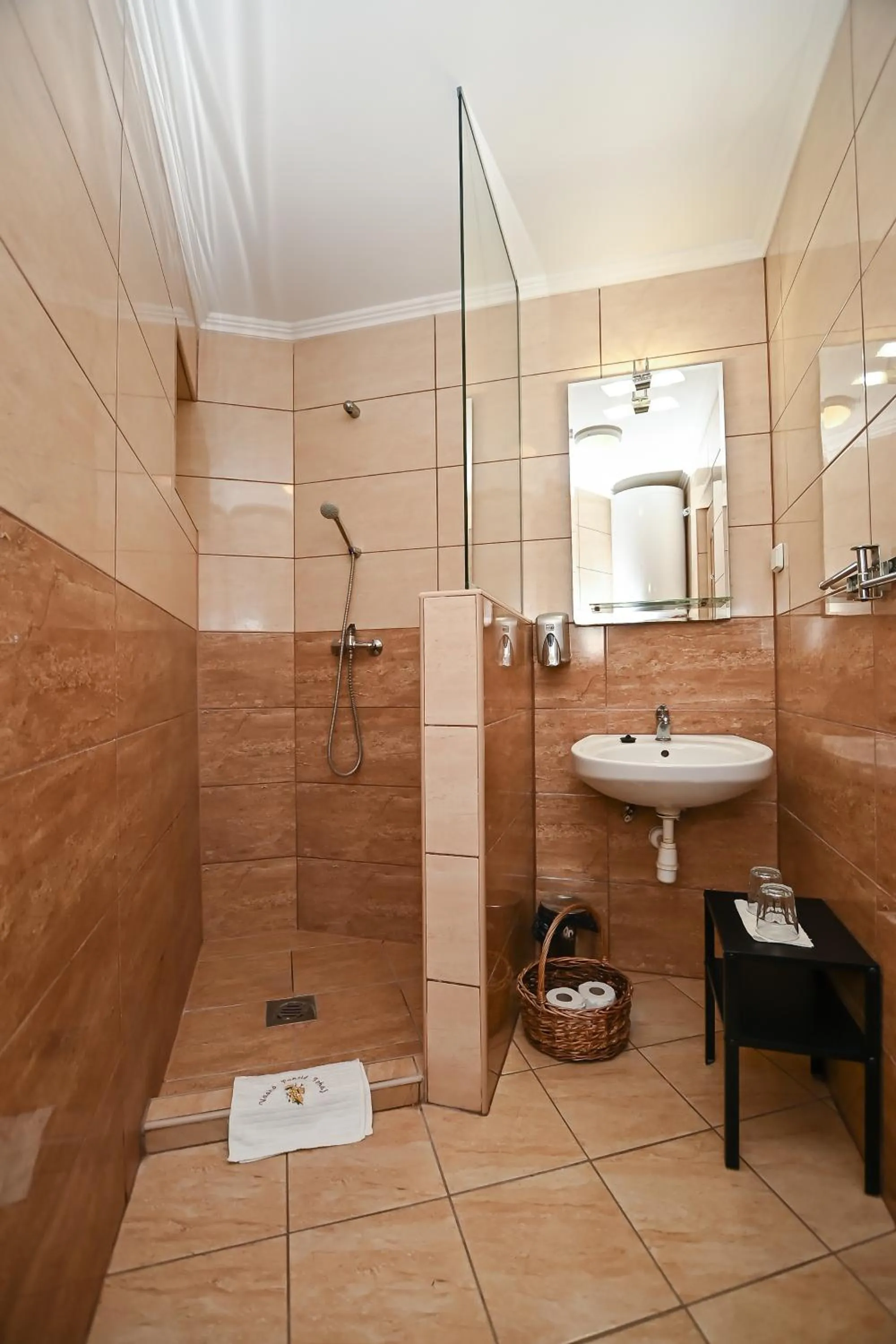 Bathroom in Vaskó Panzió Borpince