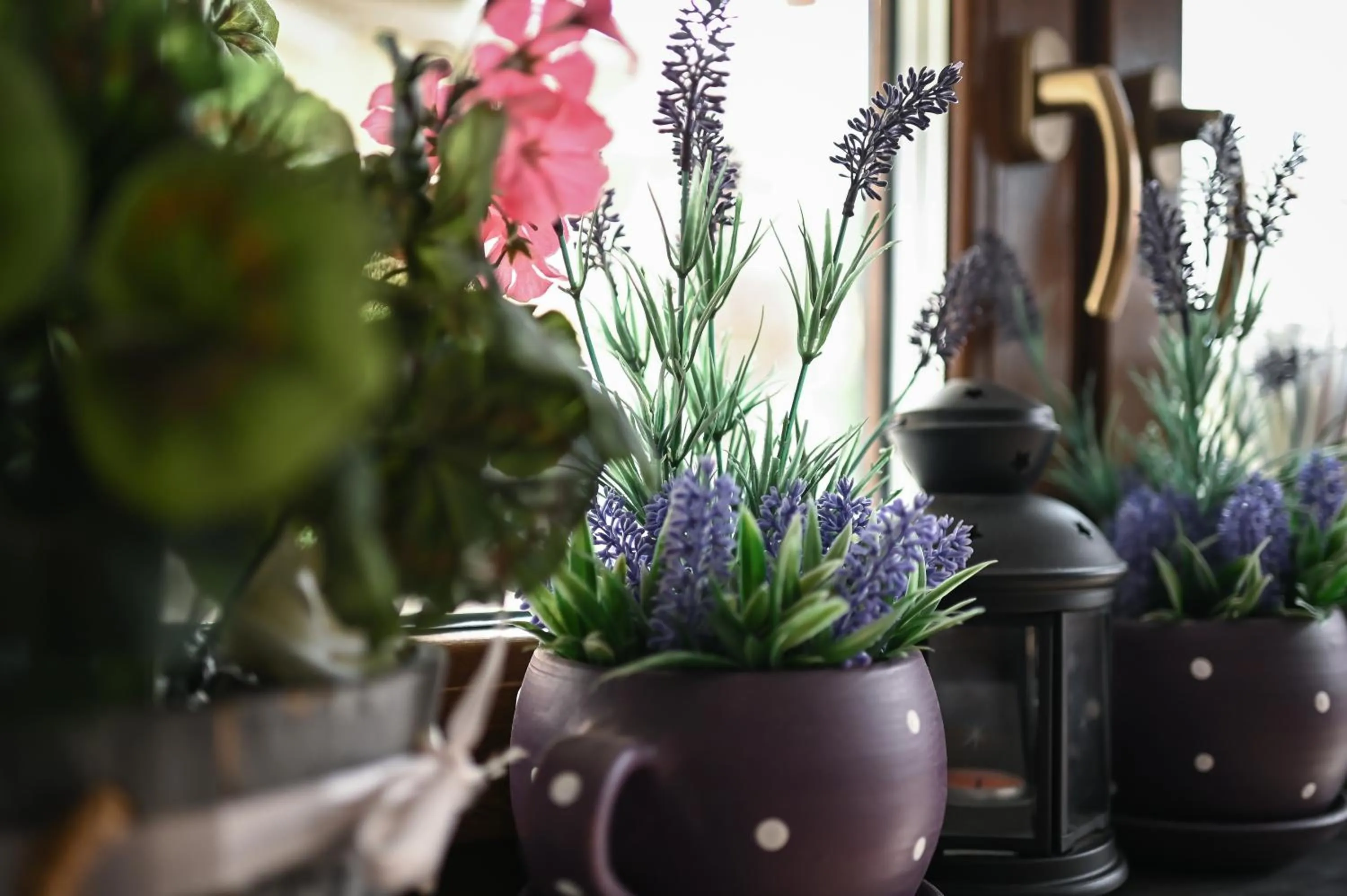 Property building in Vaskó Panzió Borpince