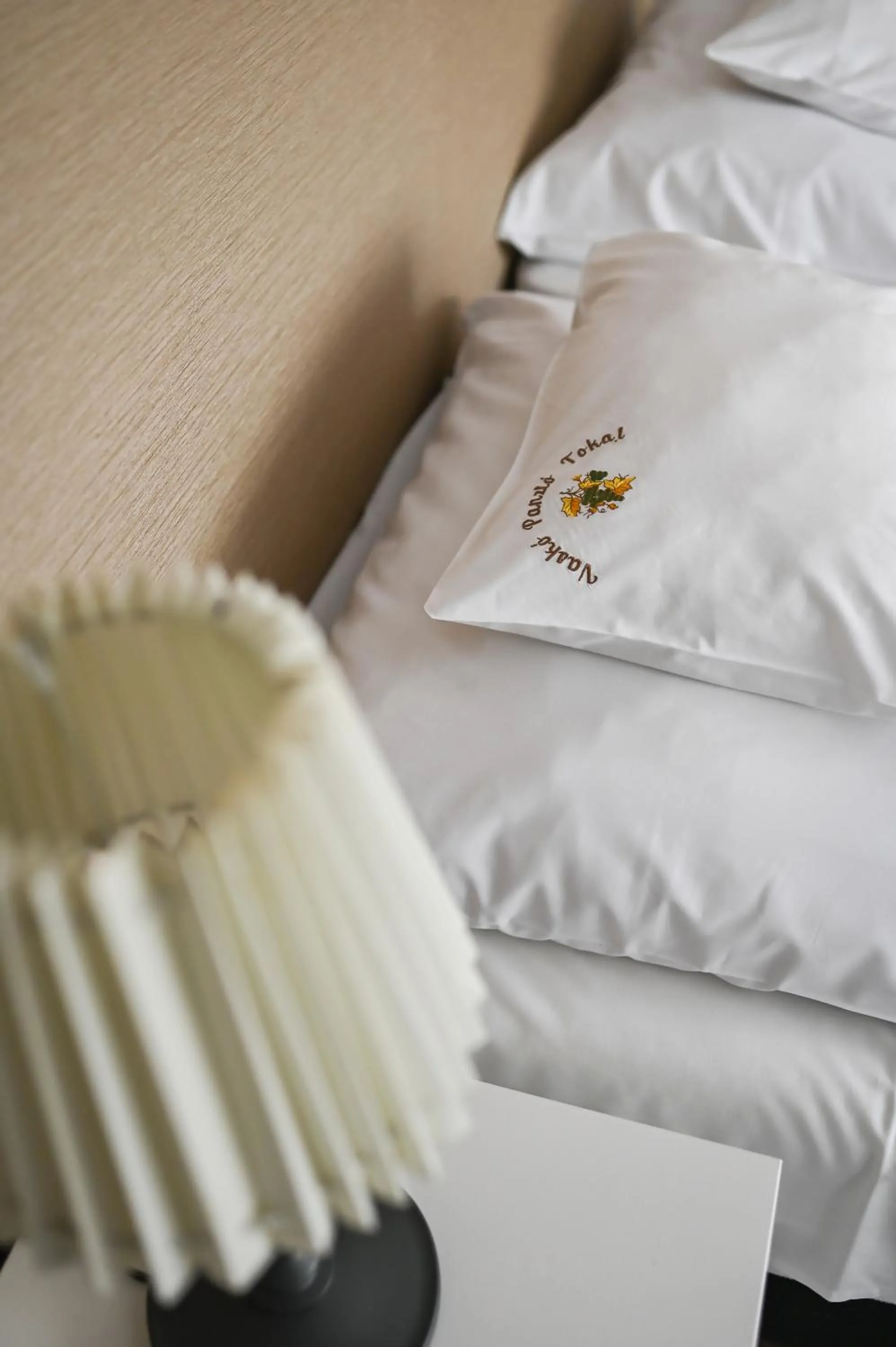 Bed in Vaskó Panzió Borpince