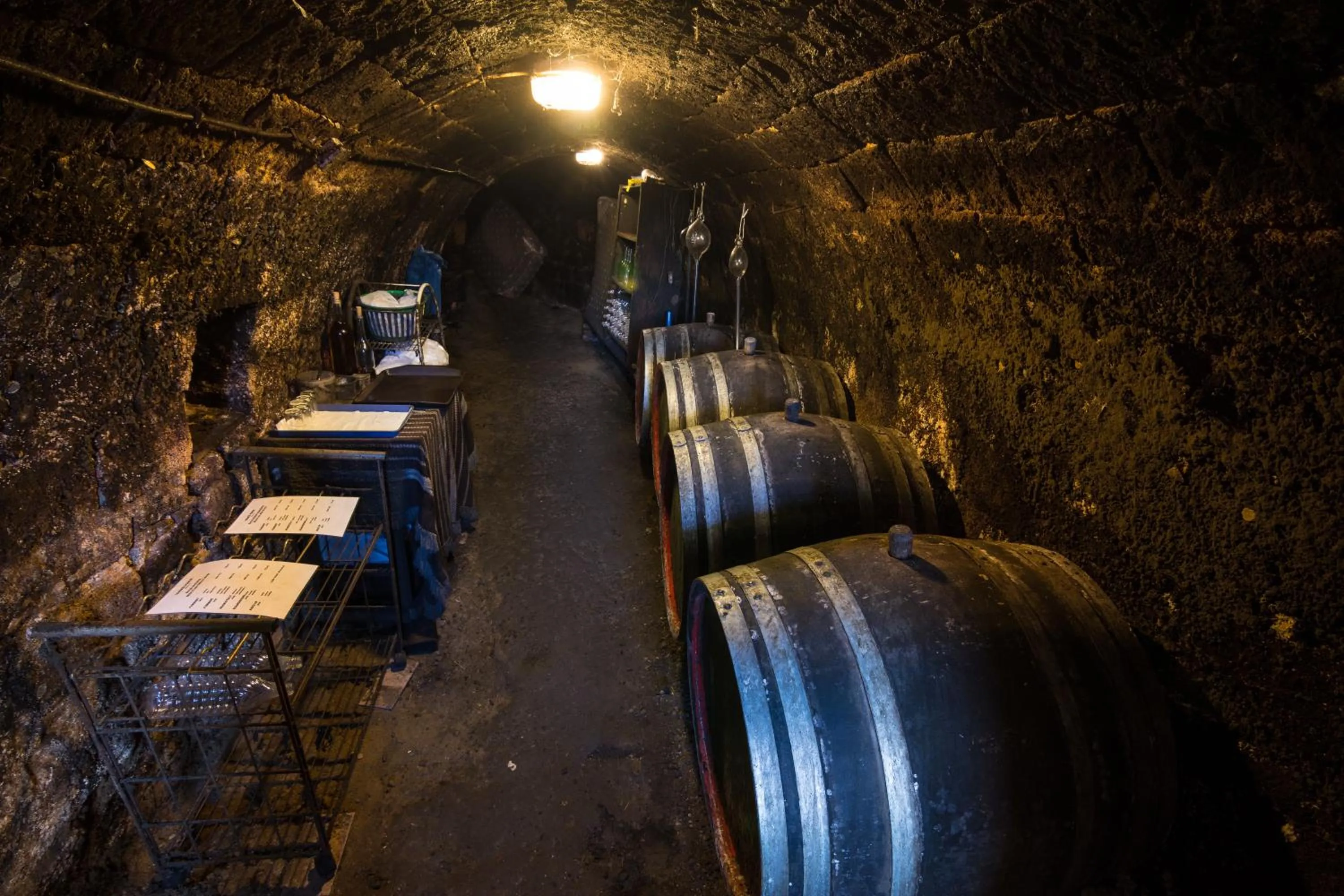 Property building in Vaskó Panzió Borpince