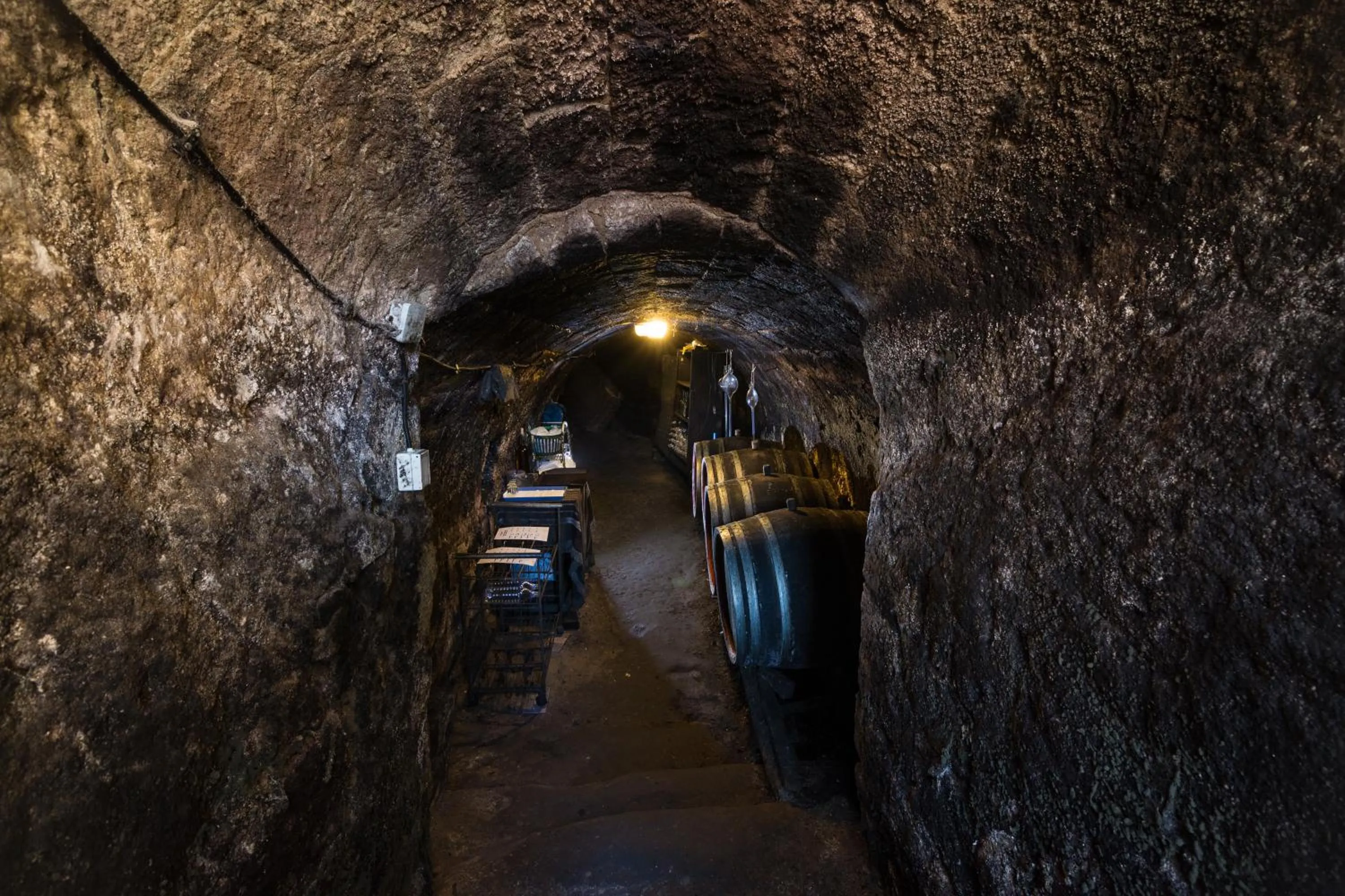 Property building in Vaskó Panzió Borpince