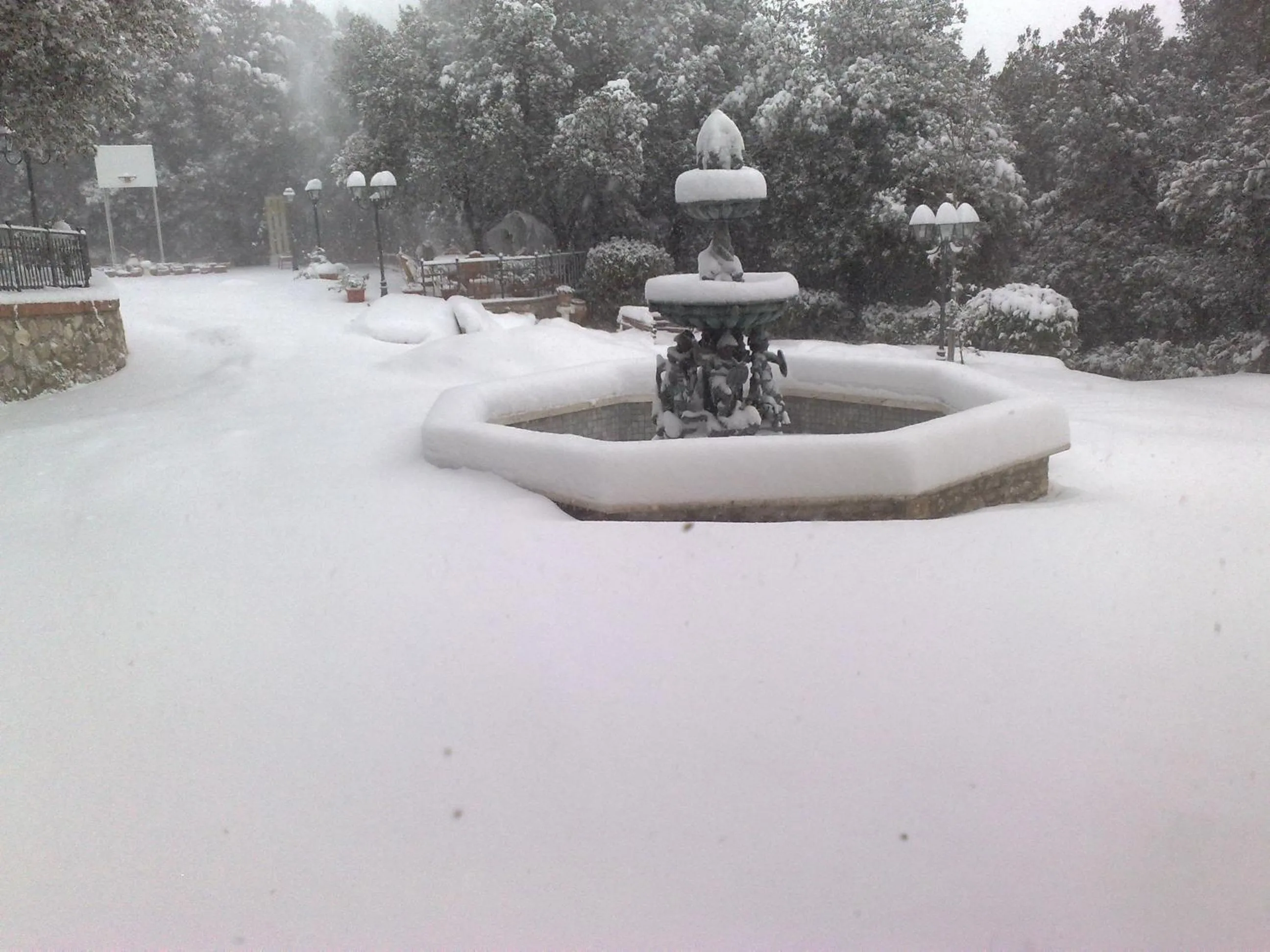 Garden in B&B Spring