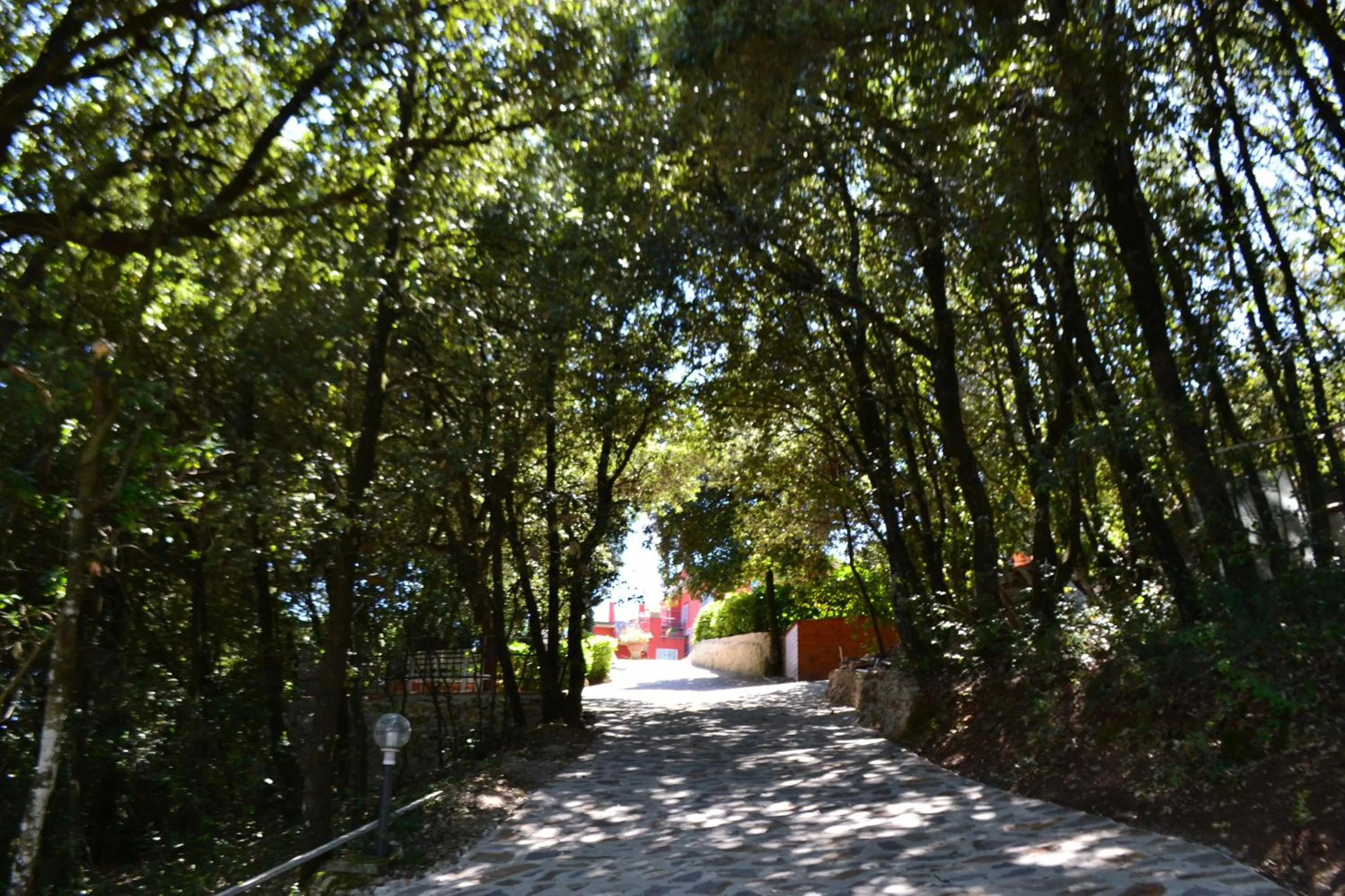 Decorative detail in B&B Spring