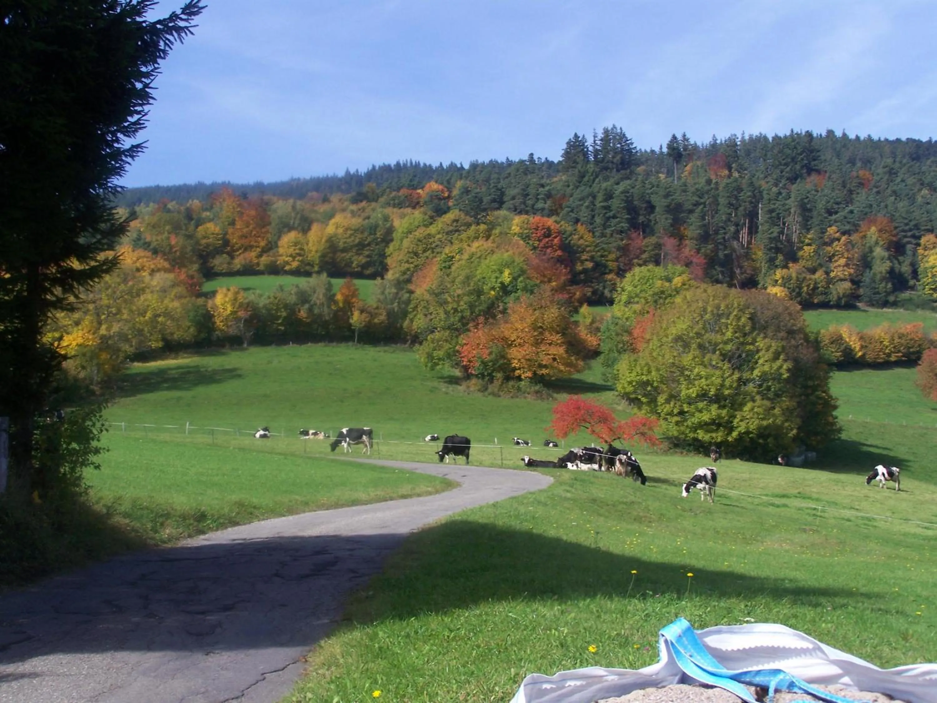 Mountain view in Le Bouton d'Or