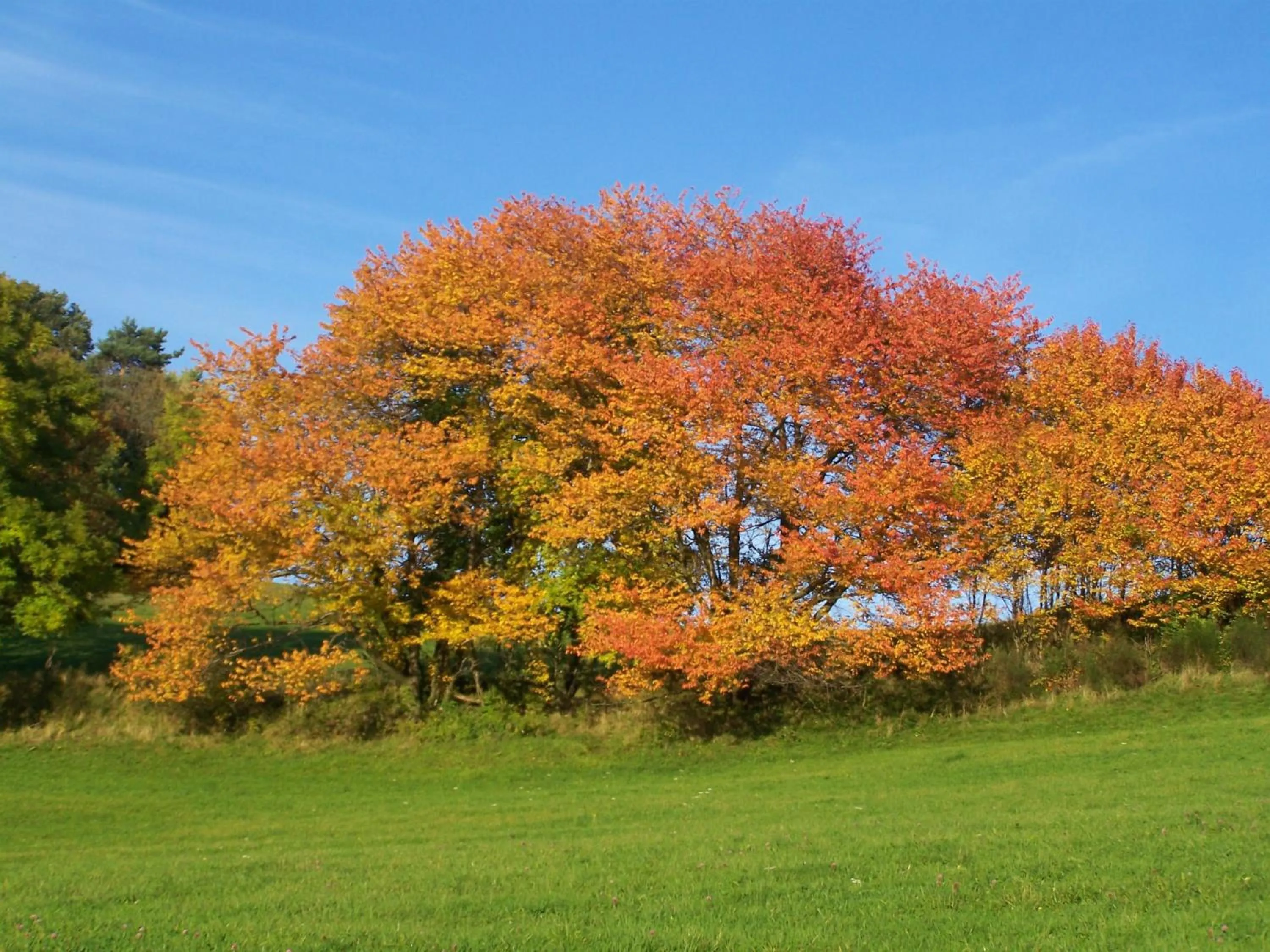 Mountain view in Le Bouton d'Or
