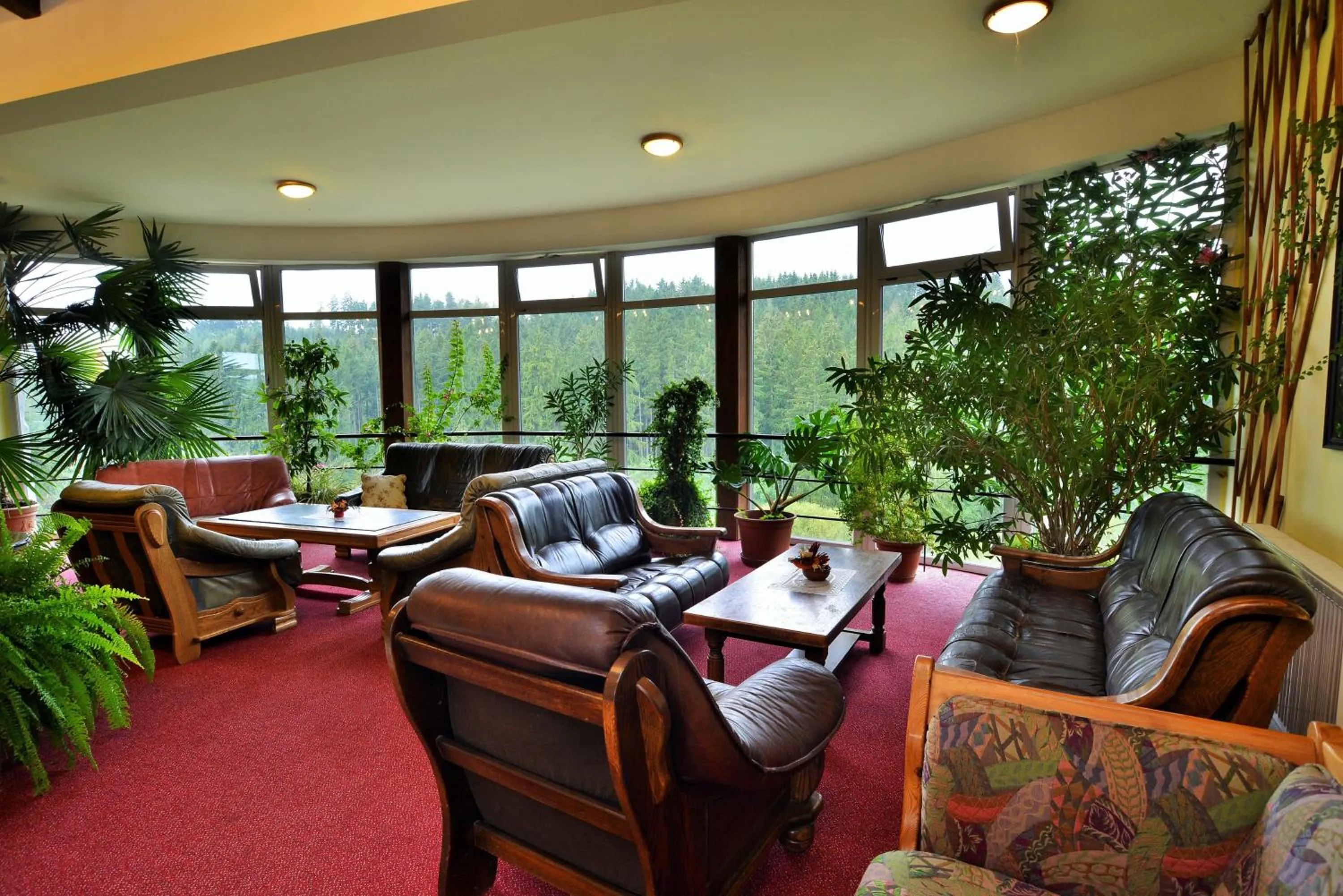 Lounge or bar in Hotelový resort Šikland