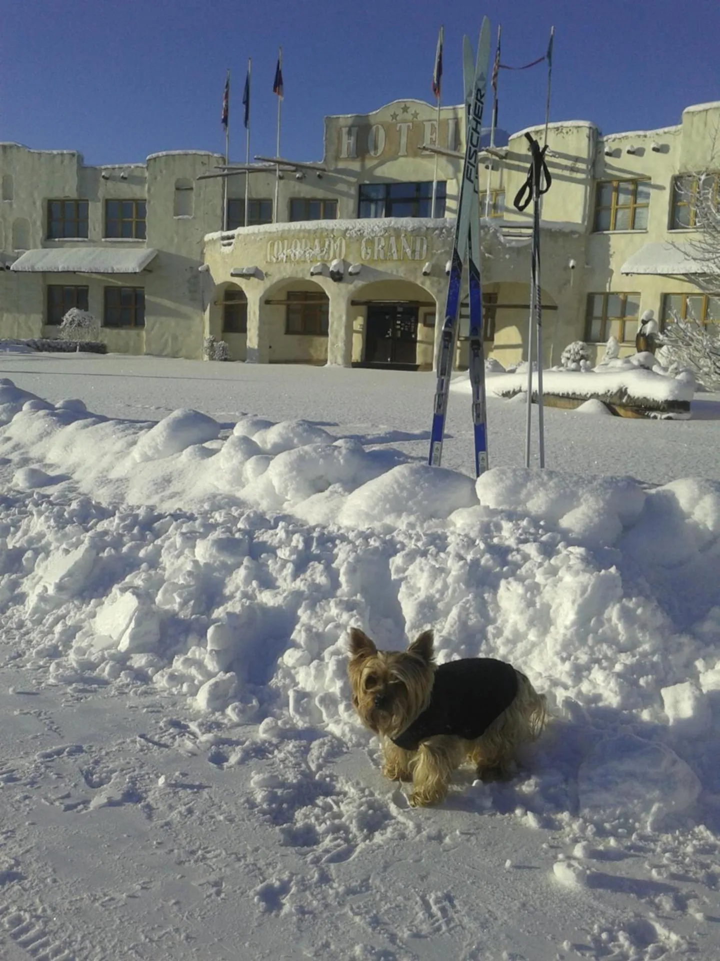Pets in Hotelový resort Šikland