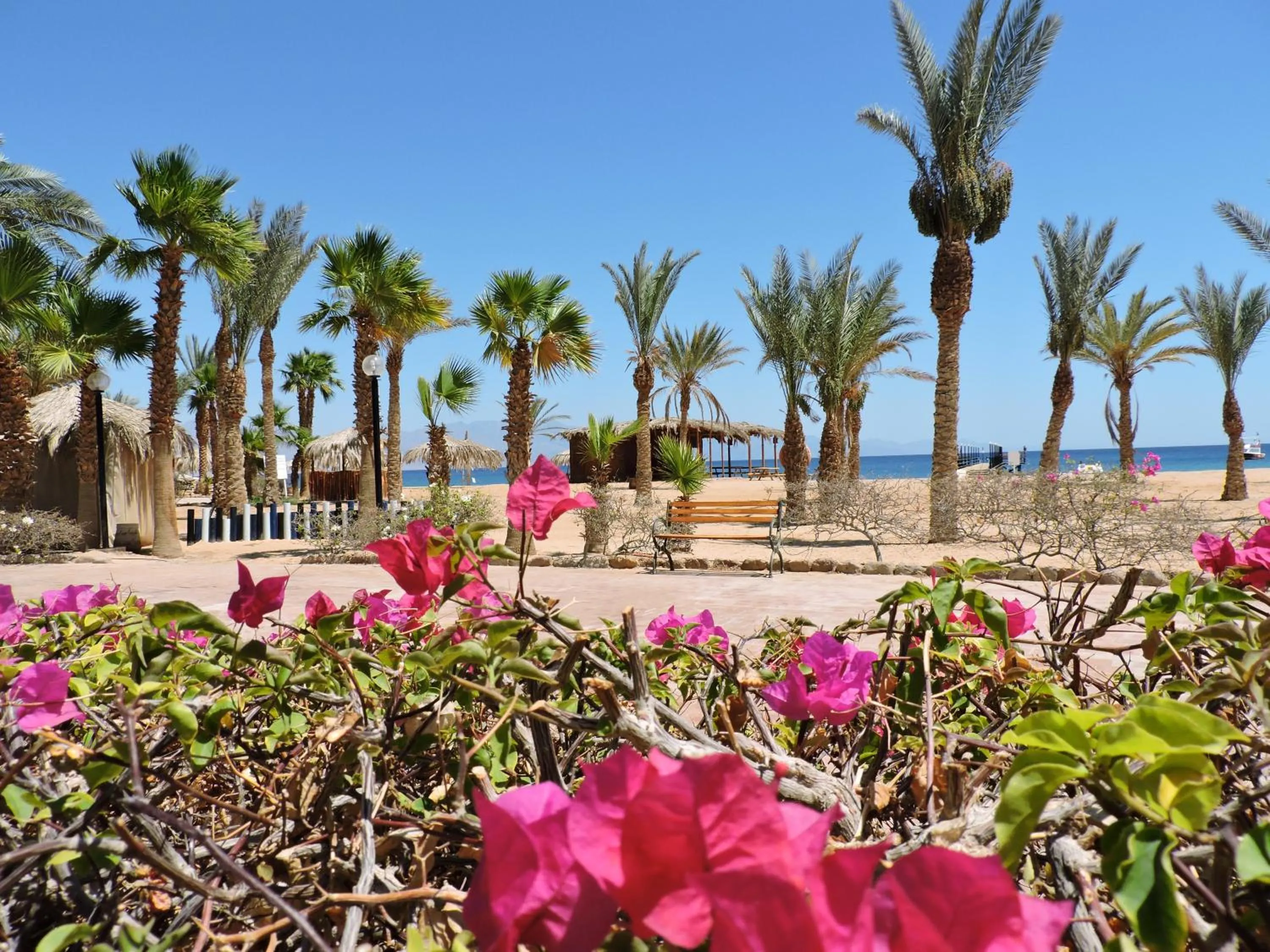 Garden in TIME Coral Nuweiba Resort