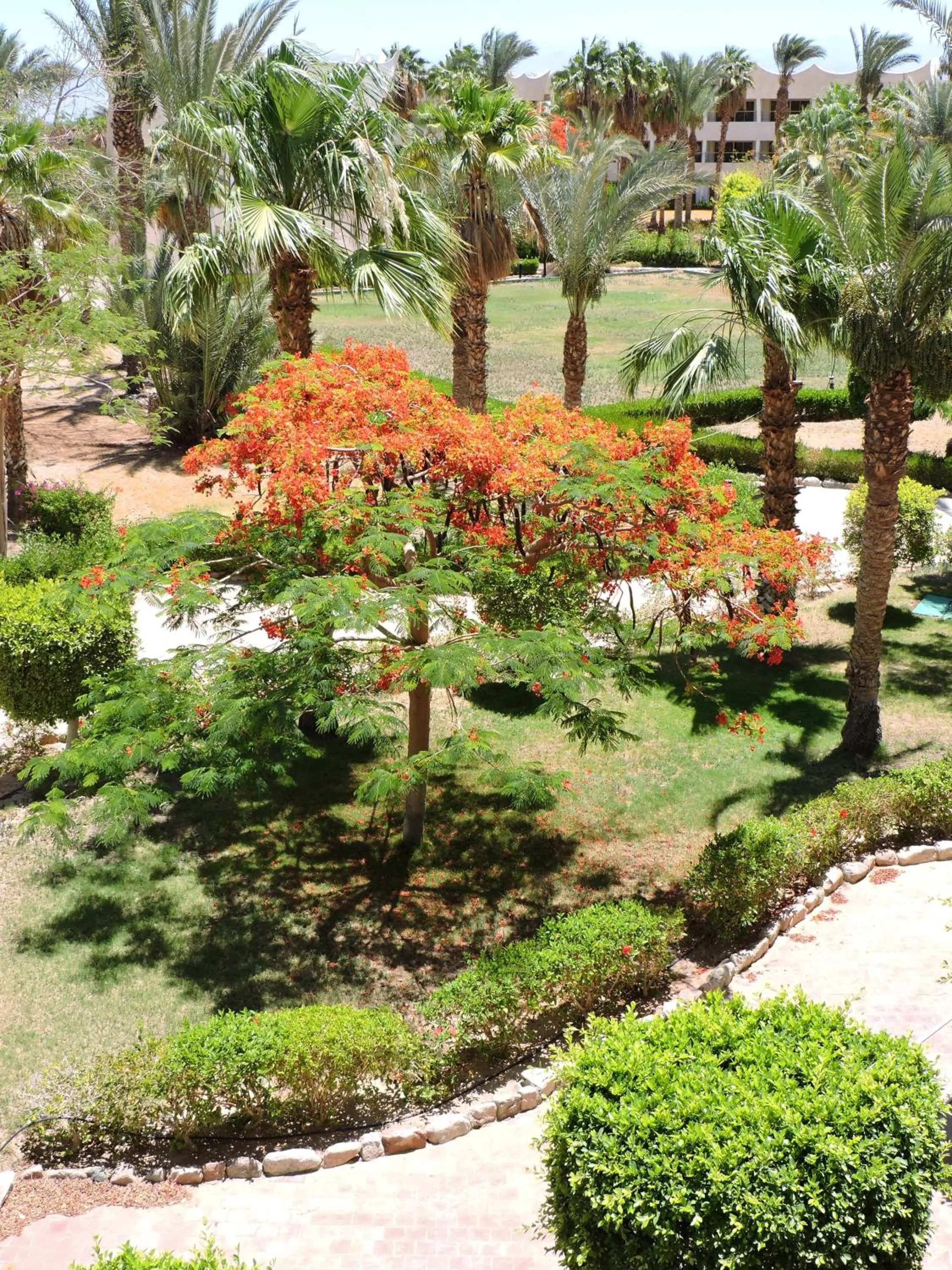 Garden in TIME Coral Nuweiba Resort